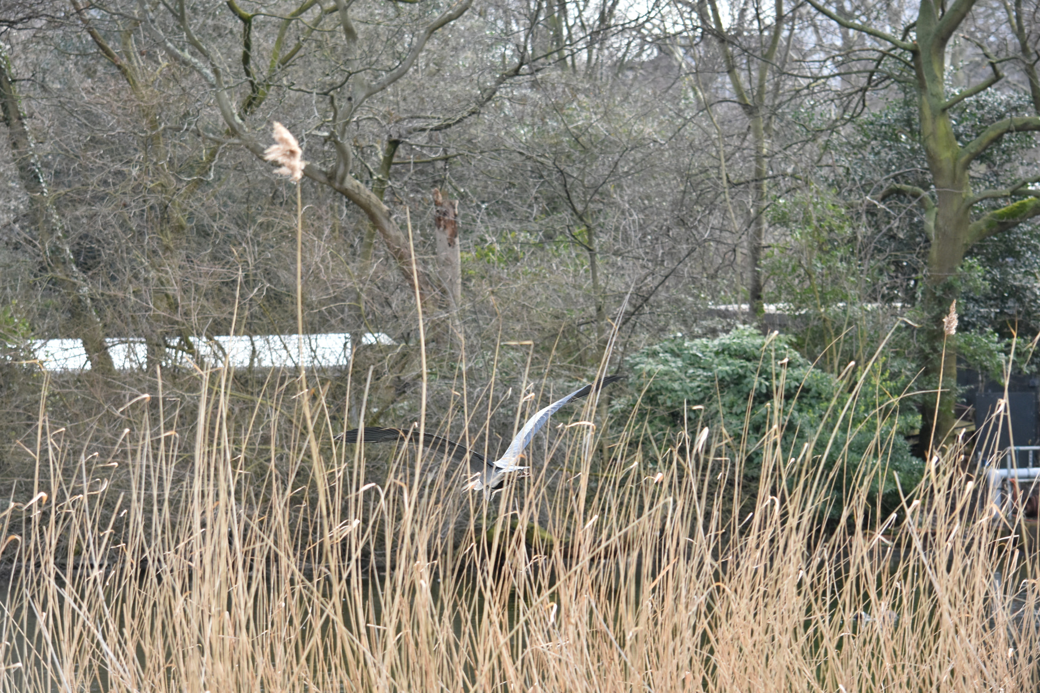 Nikon D7200 sample photo. Dsc photography