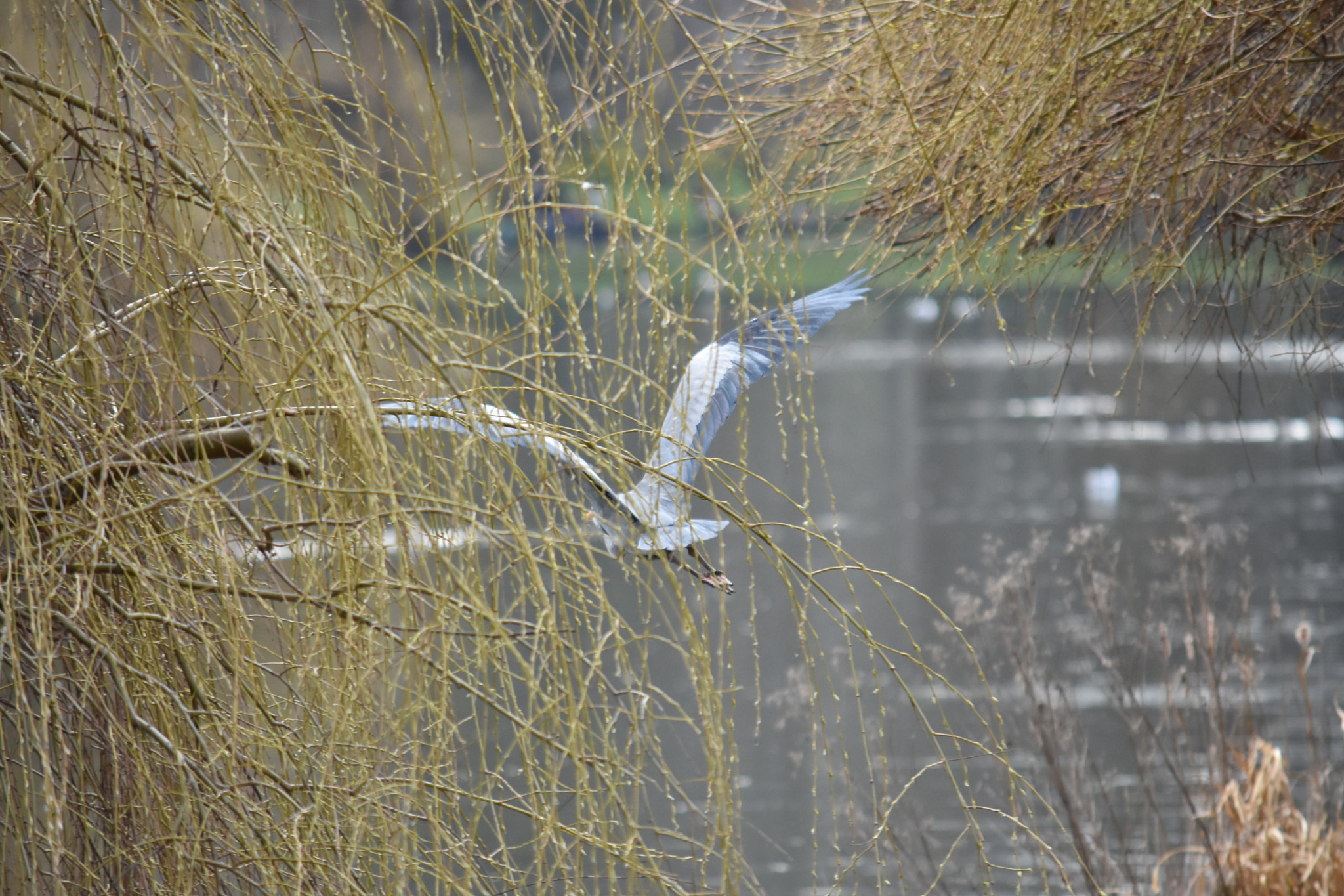 Nikon D7200 sample photo. Dsc photography