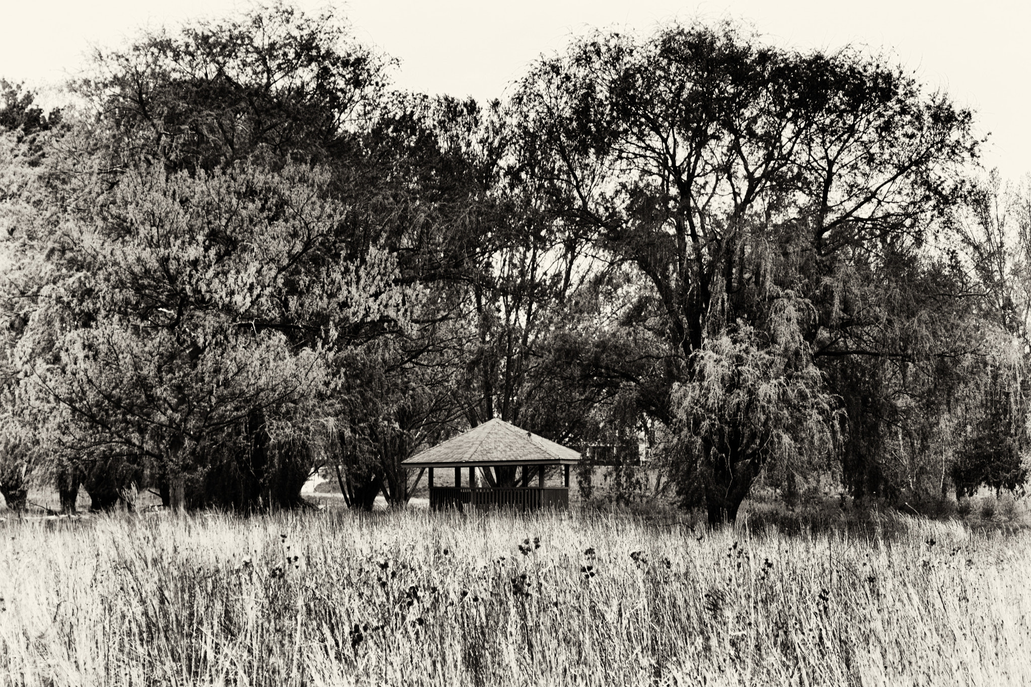 Panasonic Lumix DMC-ZS100 (Lumix DMC-TZ100) sample photo. The gazebo photography