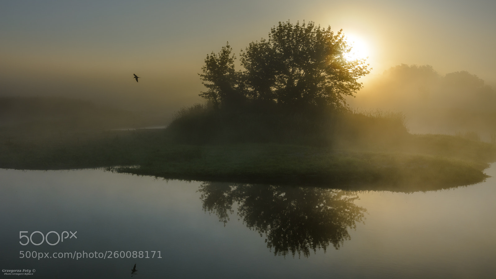 Nikon D7100 sample photo. Foggy photography