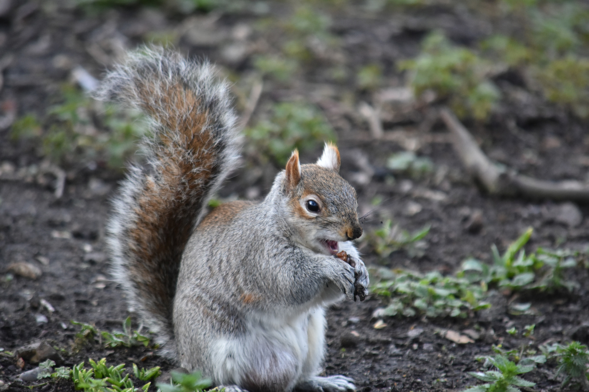 Nikon D7200 sample photo. Dsc photography