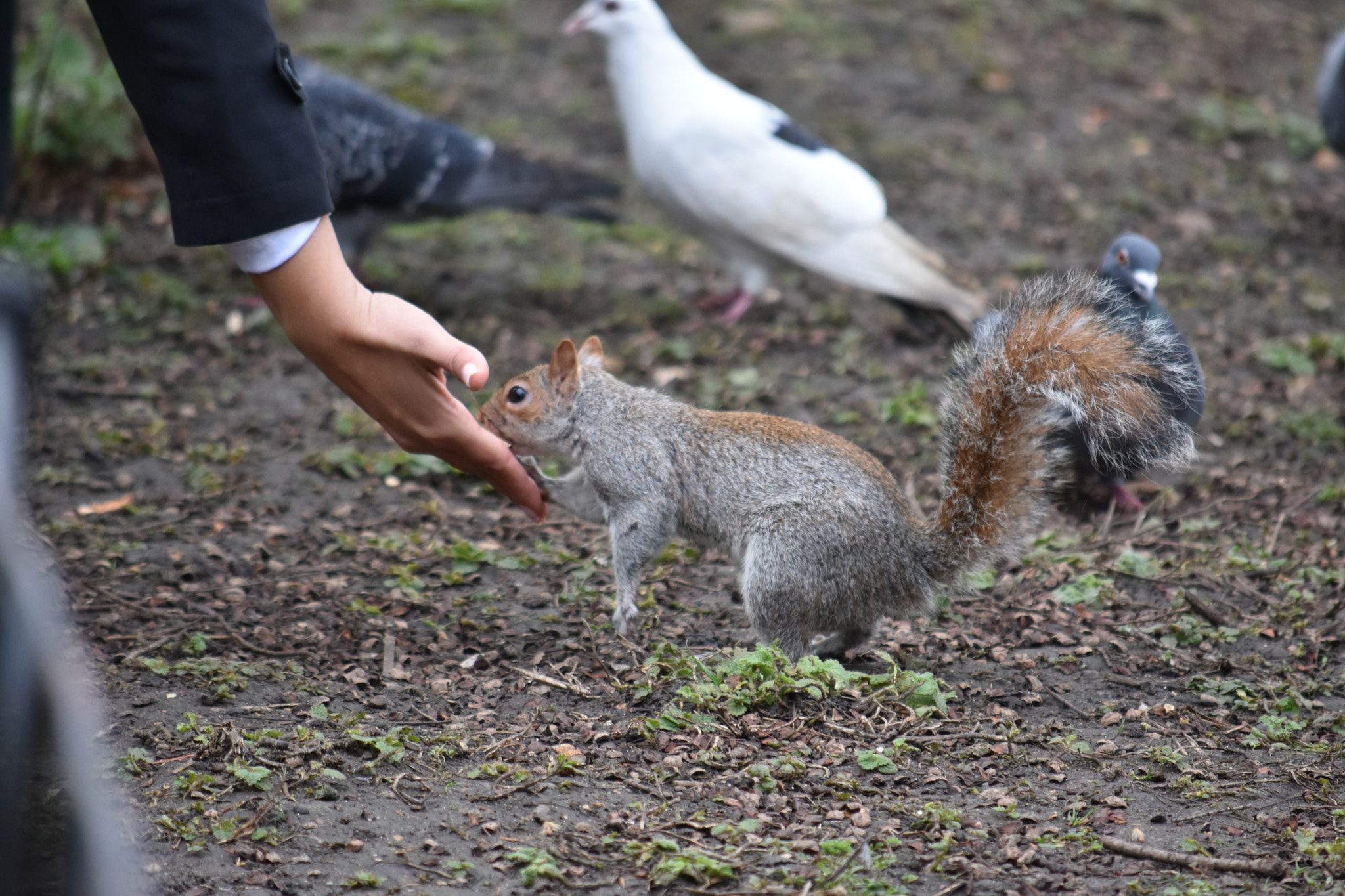 Nikon D7200 sample photo. Dsc photography