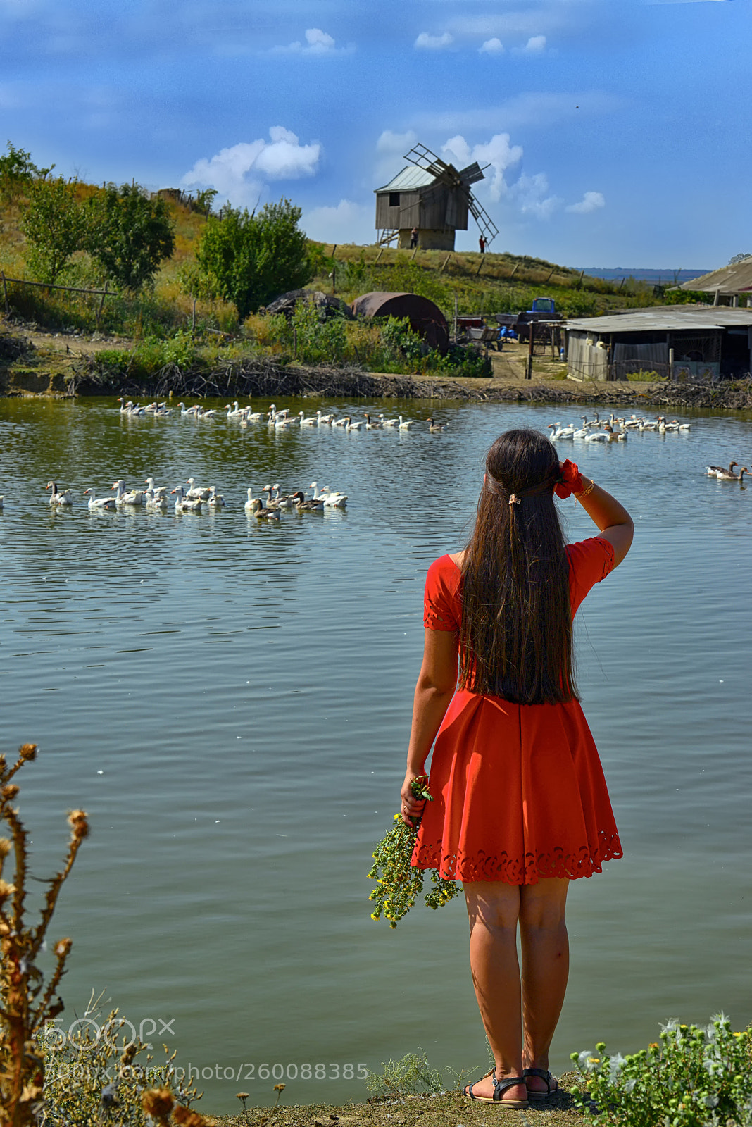 Nikon D800 sample photo. A photography