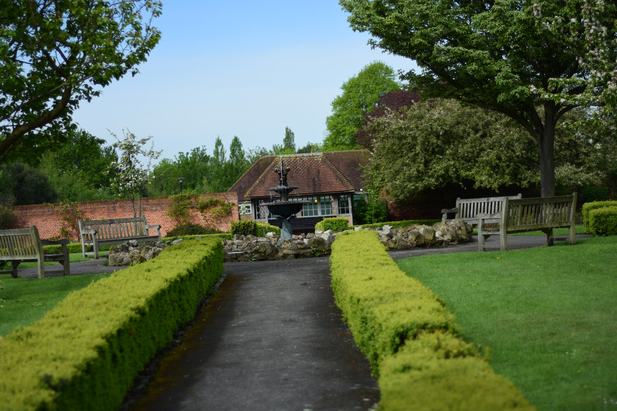 Nikon D7200 sample photo. Dsc photography