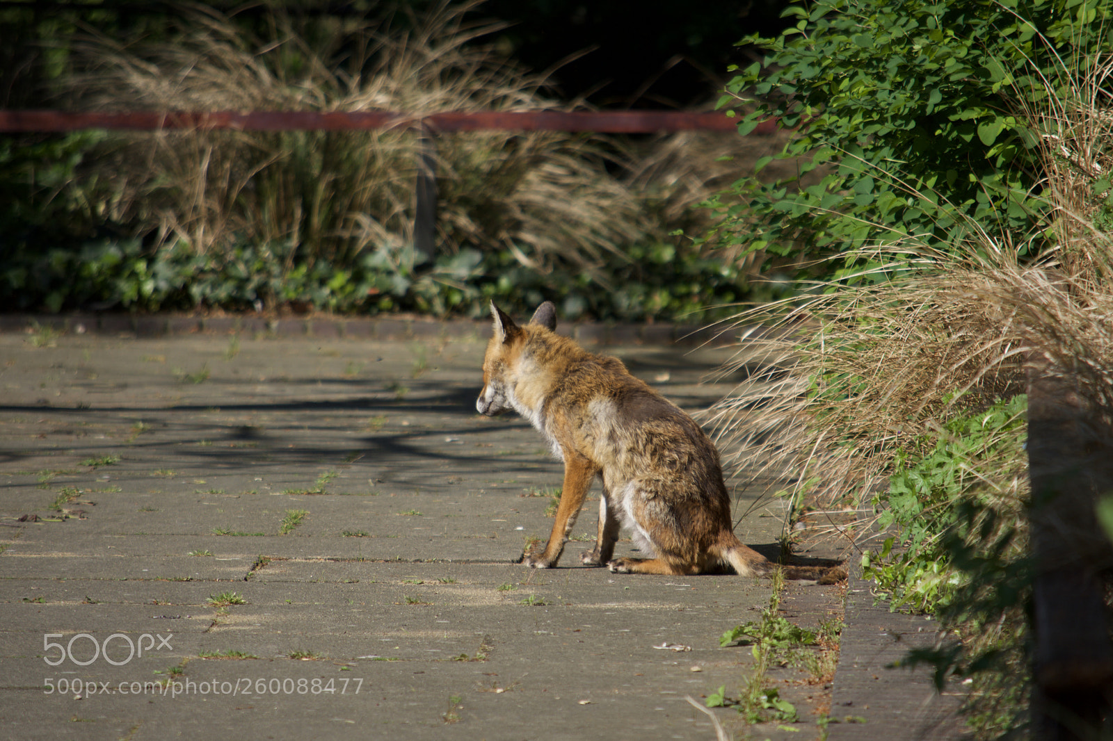 Nikon D7200 sample photo. Fullsizeoutput d photography