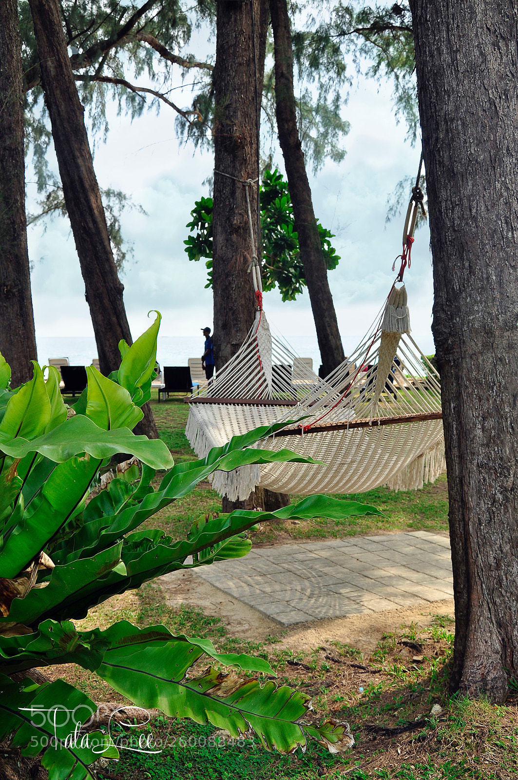 Nikon D5000 sample photo. Relaxing  photography