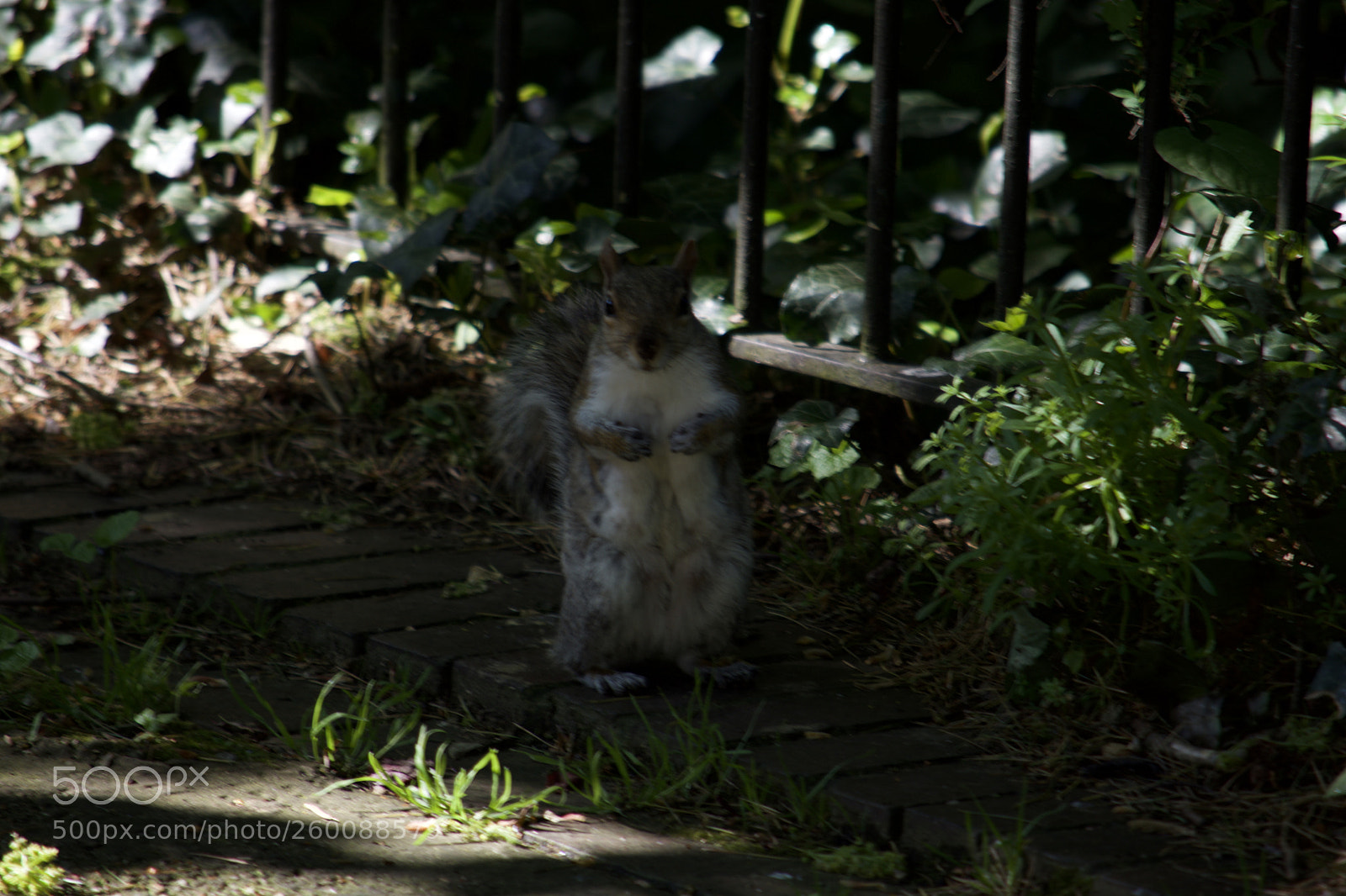 Nikon D7200 sample photo. Fullsizeoutput e photography
