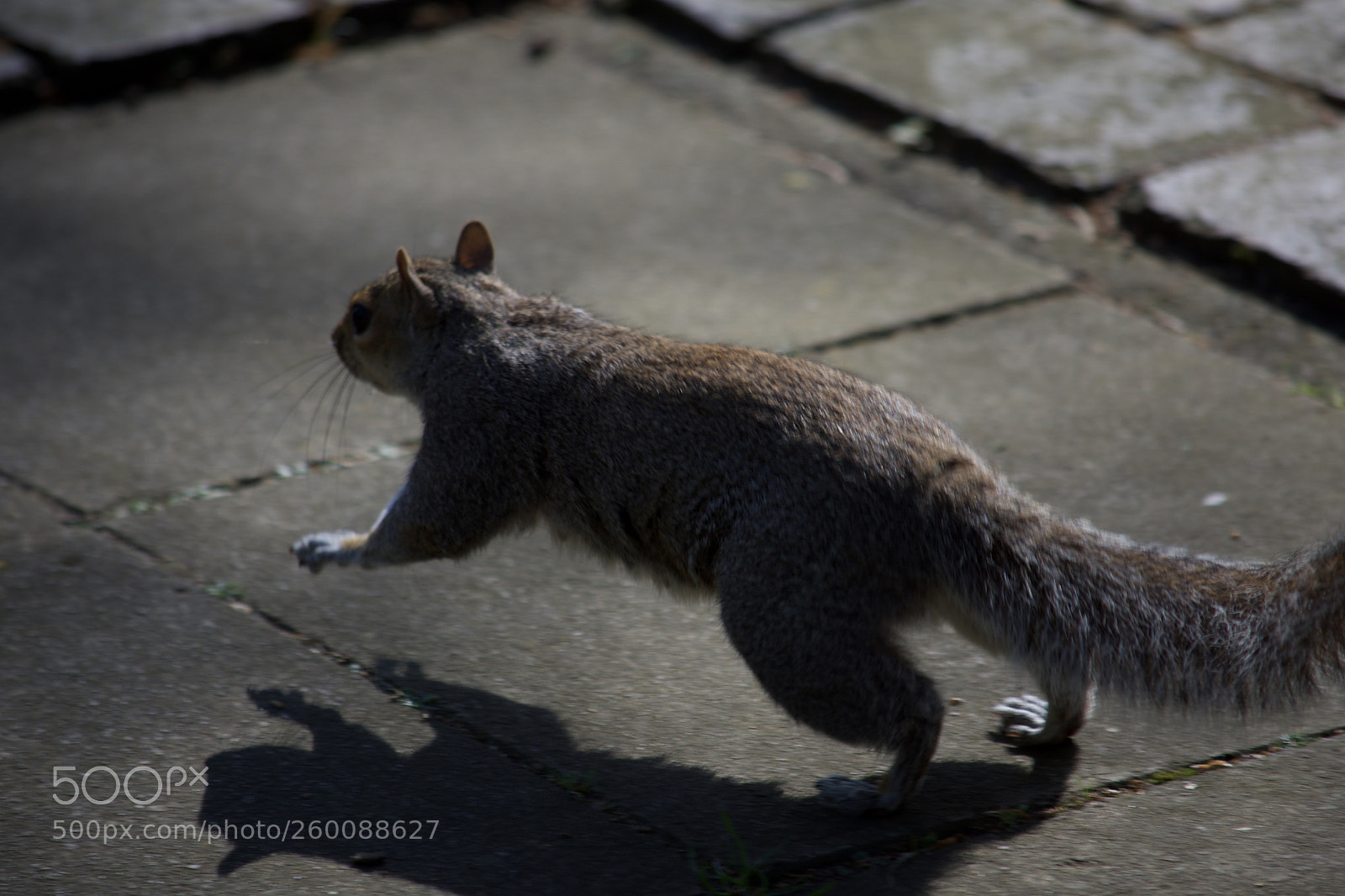 Nikon D7200 sample photo. Fullsizeoutput b photography