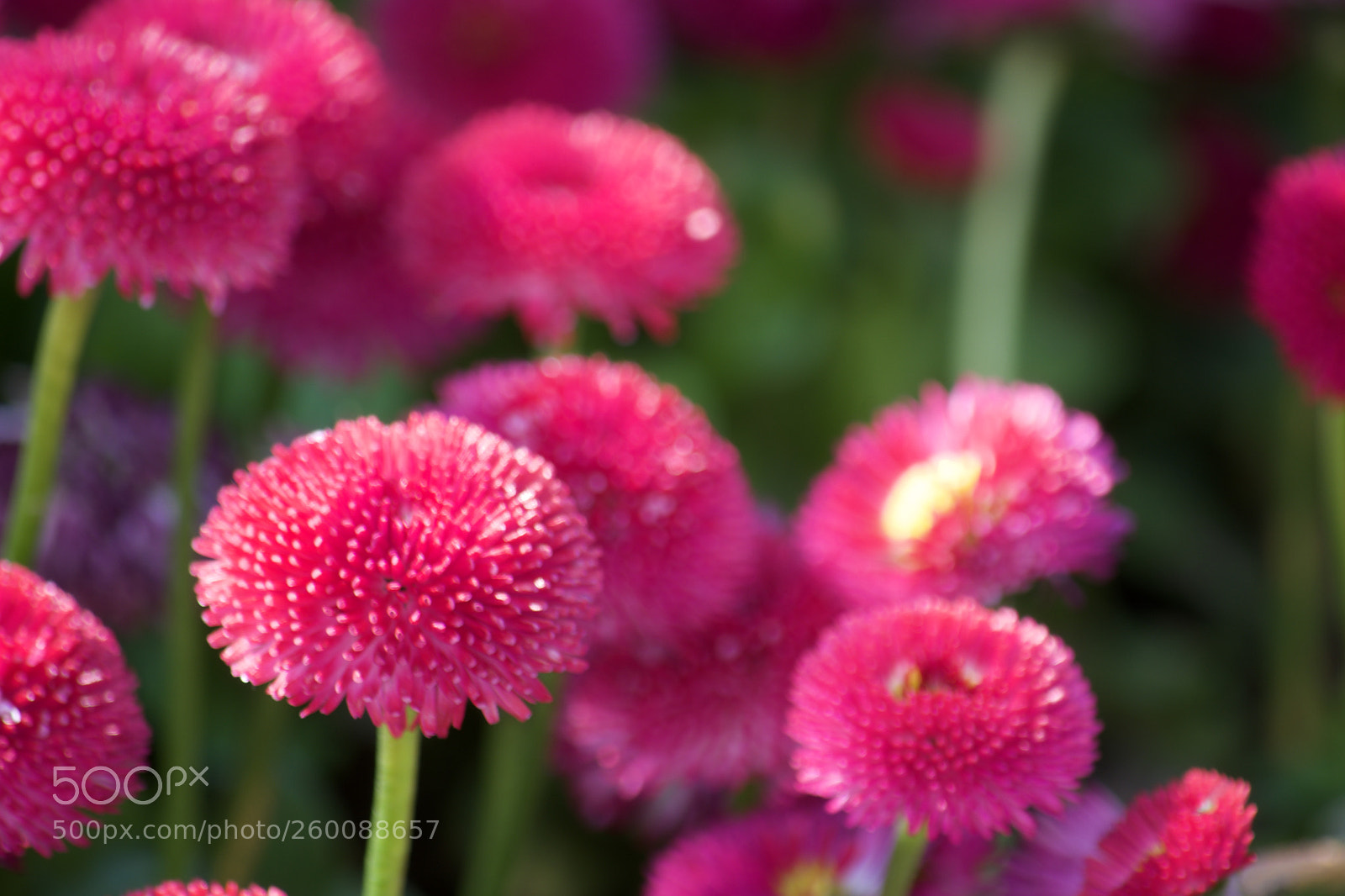 Nikon D7200 sample photo. Fullsizeoutput a photography