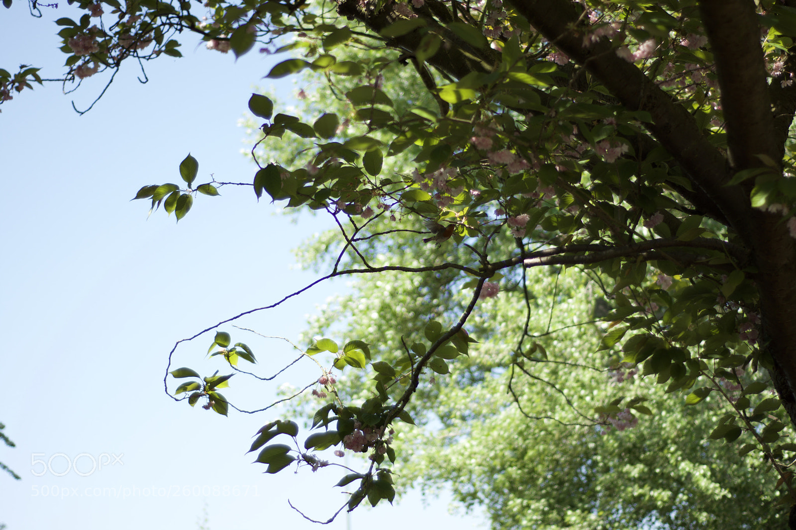 Nikon D7200 sample photo. Fullsizeoutput a photography