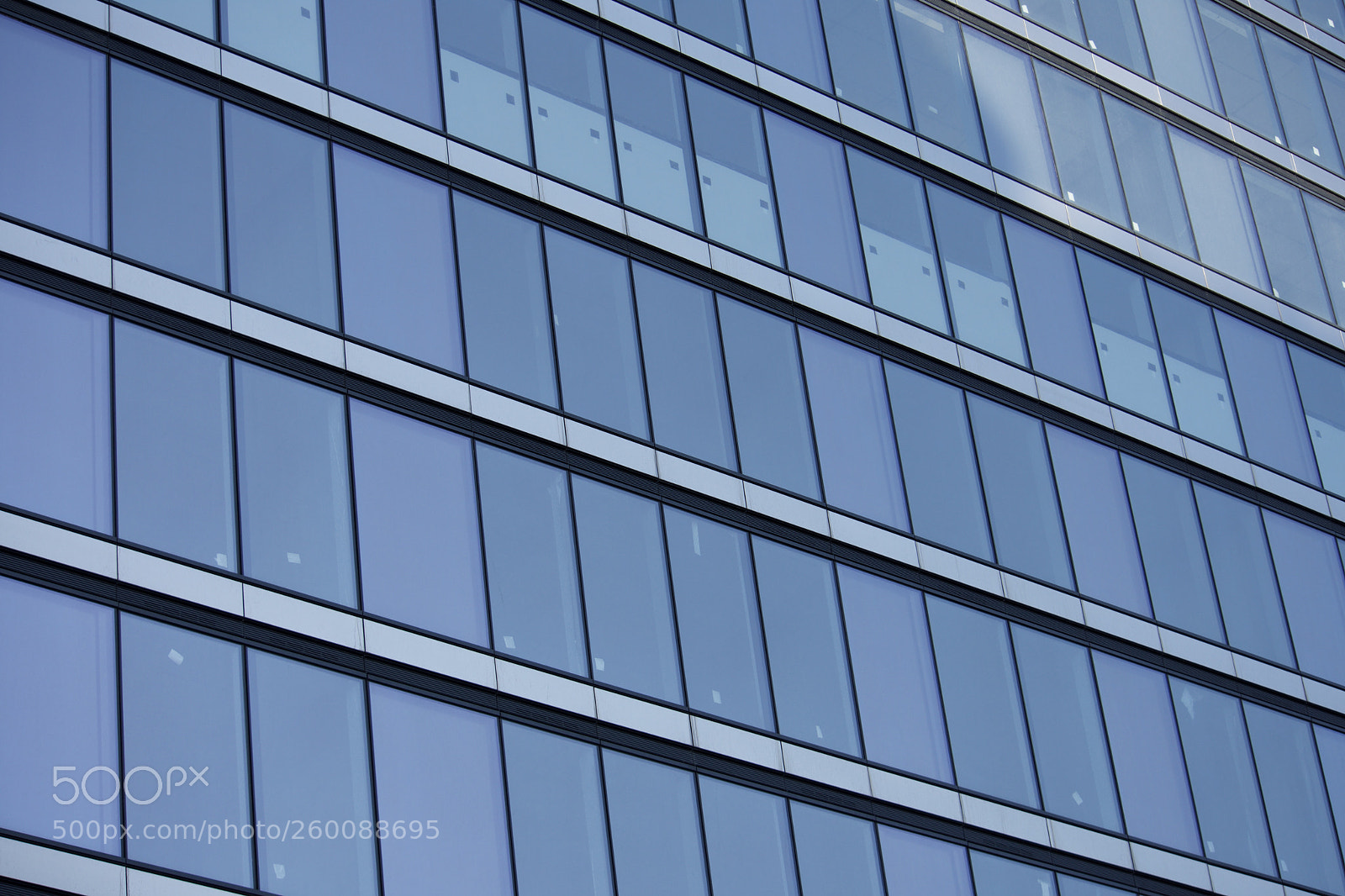 Nikon D7200 sample photo. Fullsizeoutput b photography