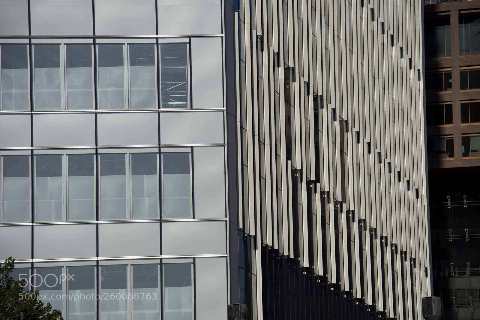Nikon D7200 sample photo. Fullsizeoutput bb photography