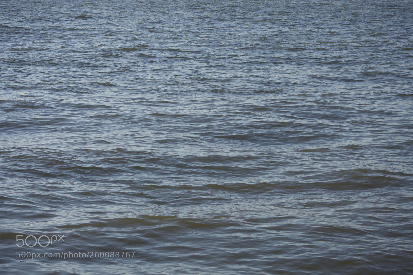 Nikon D7200 sample photo. Fullsizeoutput b photography