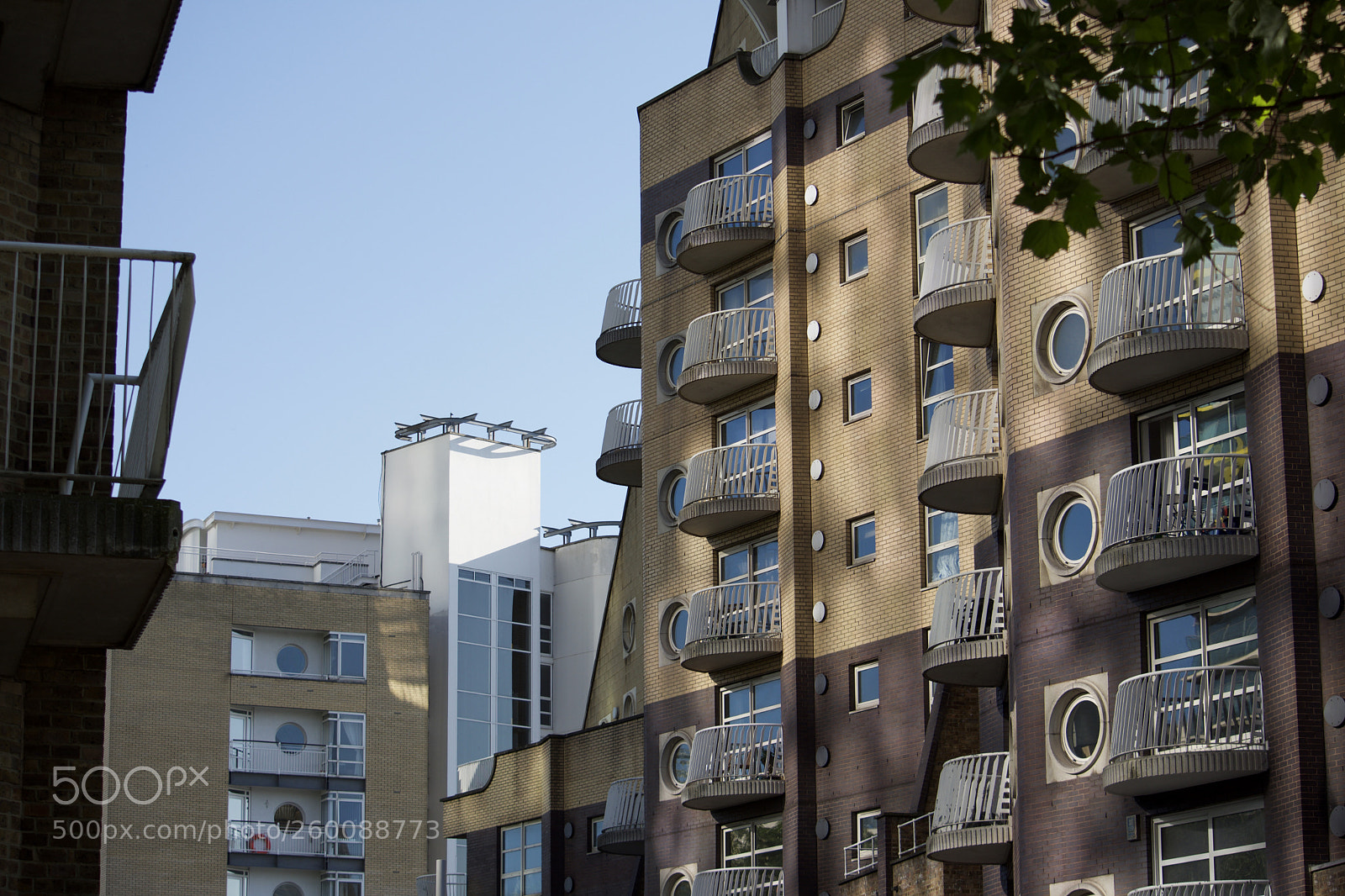 Nikon D7200 sample photo. Fullsizeoutput bc photography