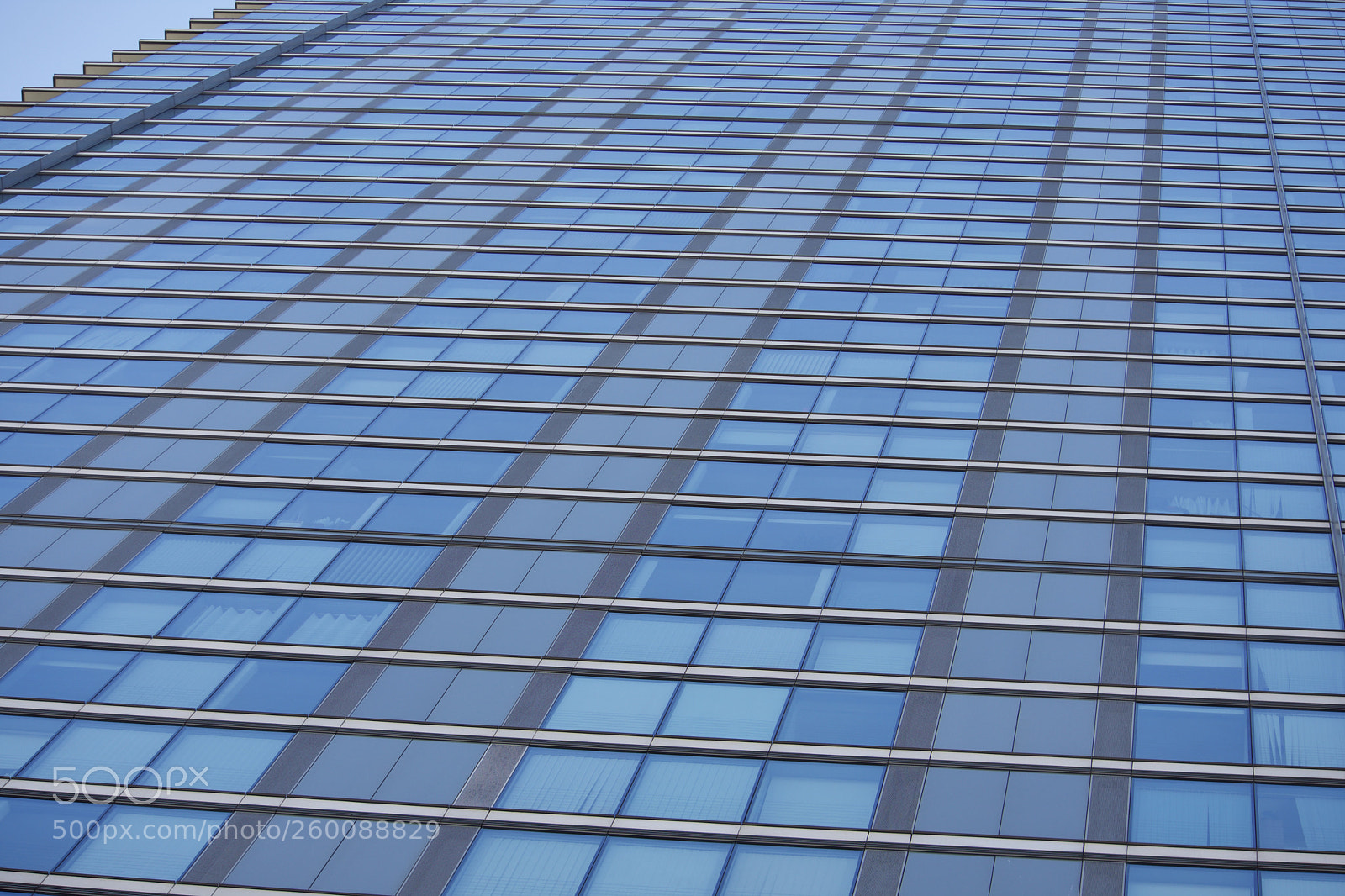 Nikon D7200 sample photo. Fullsizeoutput bea photography