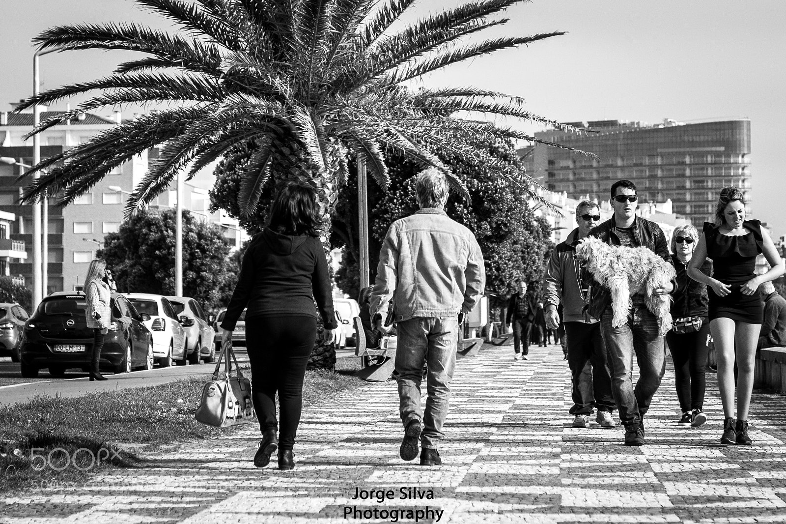 Canon EOS 80D sample photo. S/t photography