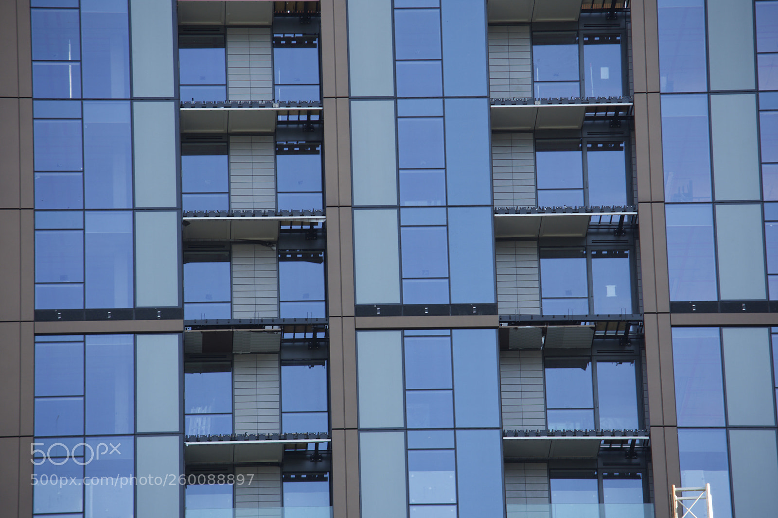 Nikon D7200 sample photo. Fullsizeoutput b photography