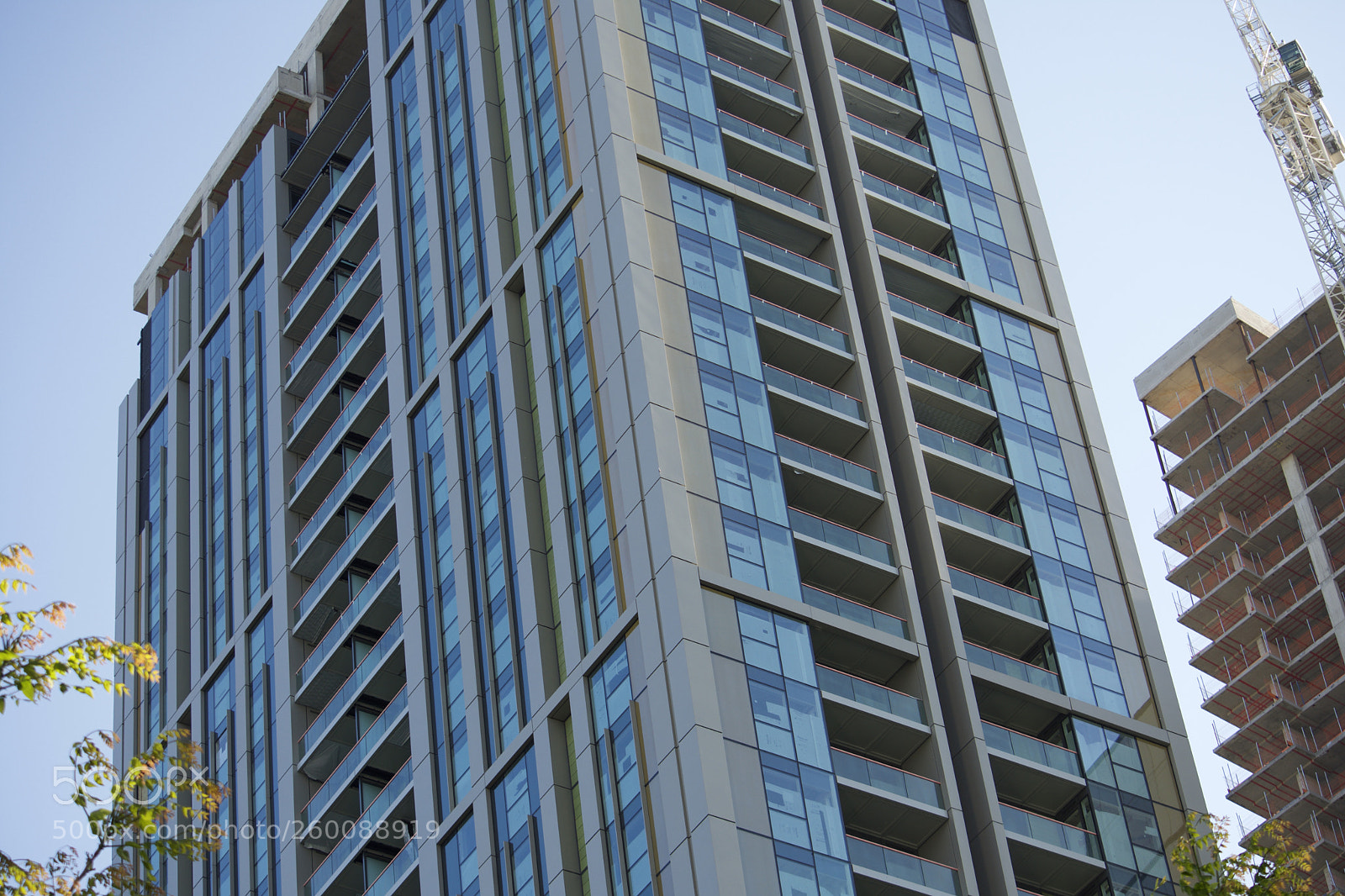 Nikon D7200 sample photo. Fullsizeoutput ba photography