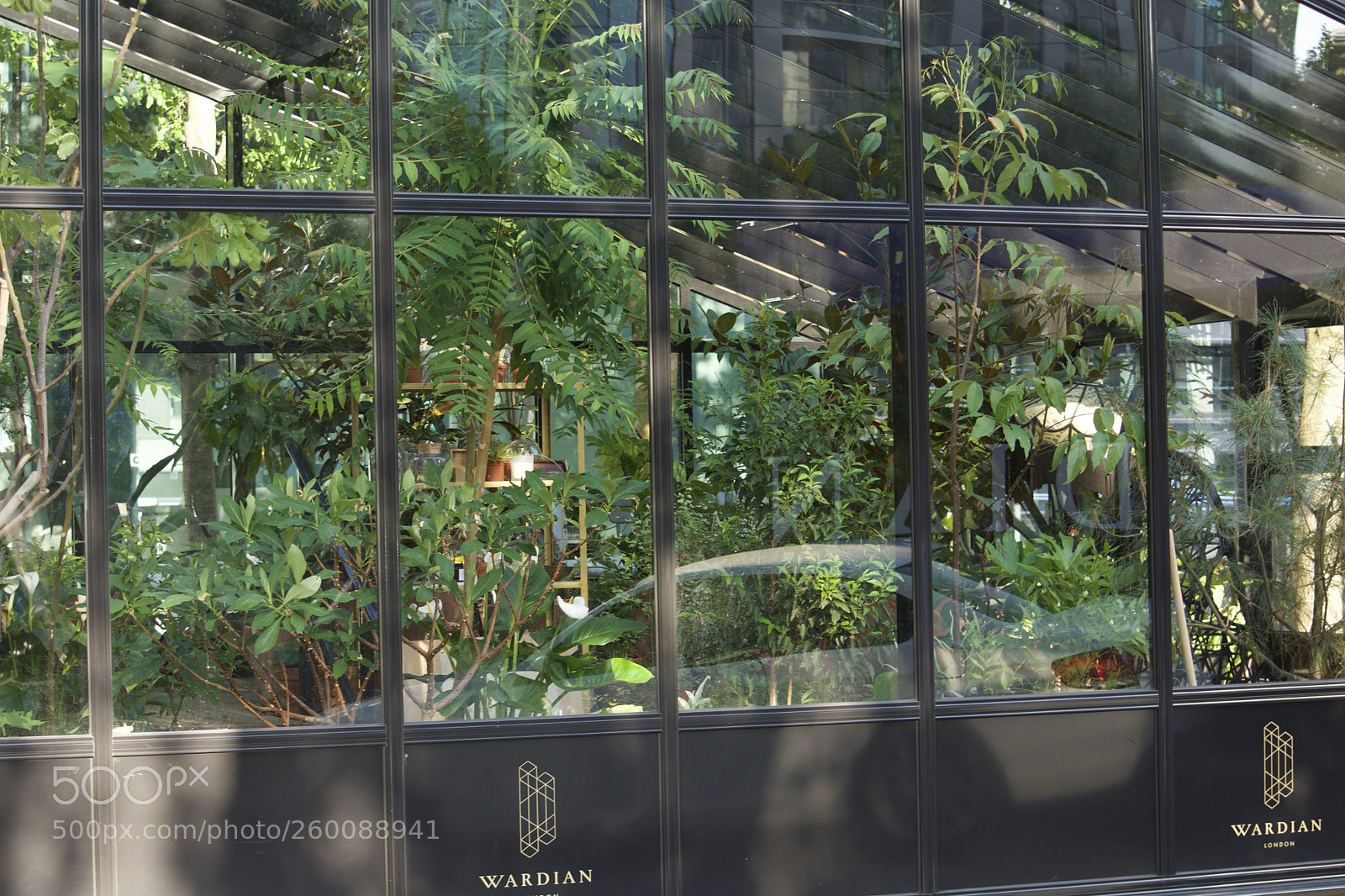 Nikon D7200 sample photo. Fullsizeoutput bd photography