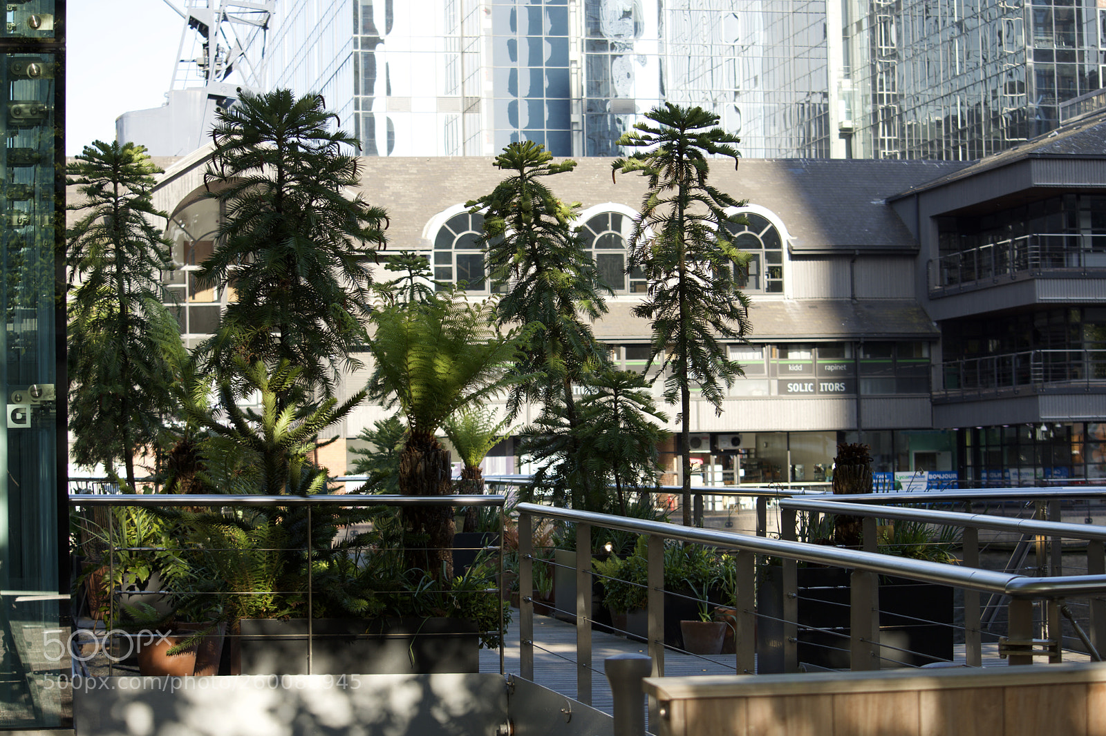 Nikon D7200 sample photo. Fullsizeoutput b photography