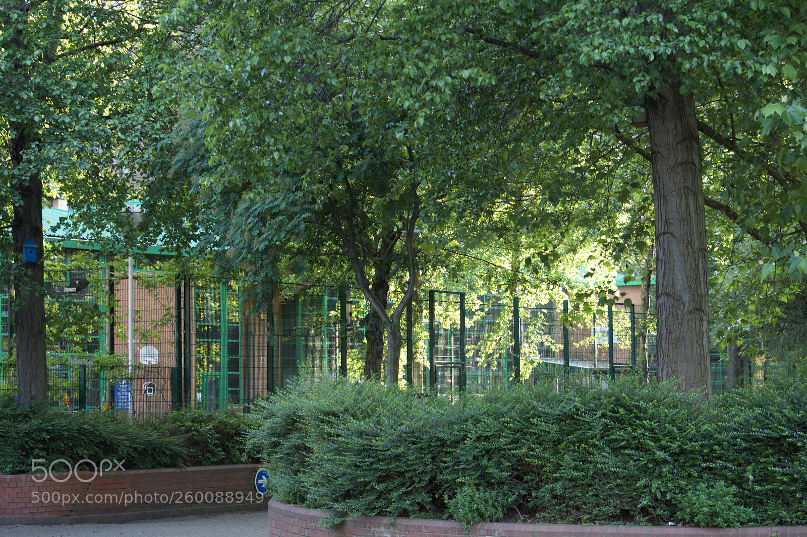 Nikon D7200 sample photo. Fullsizeoutput bc photography