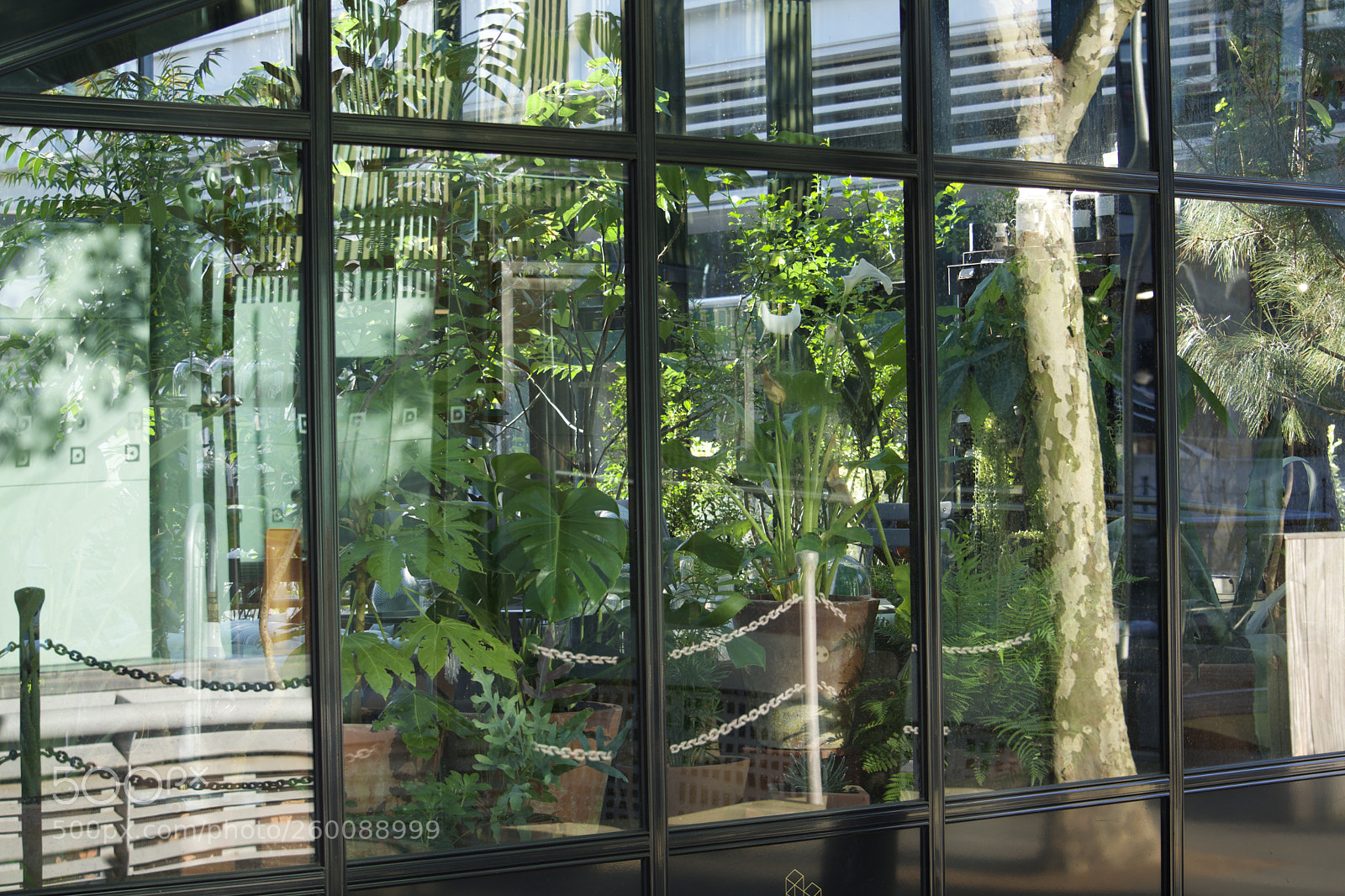 Nikon D7200 sample photo. Fullsizeoutput ae photography