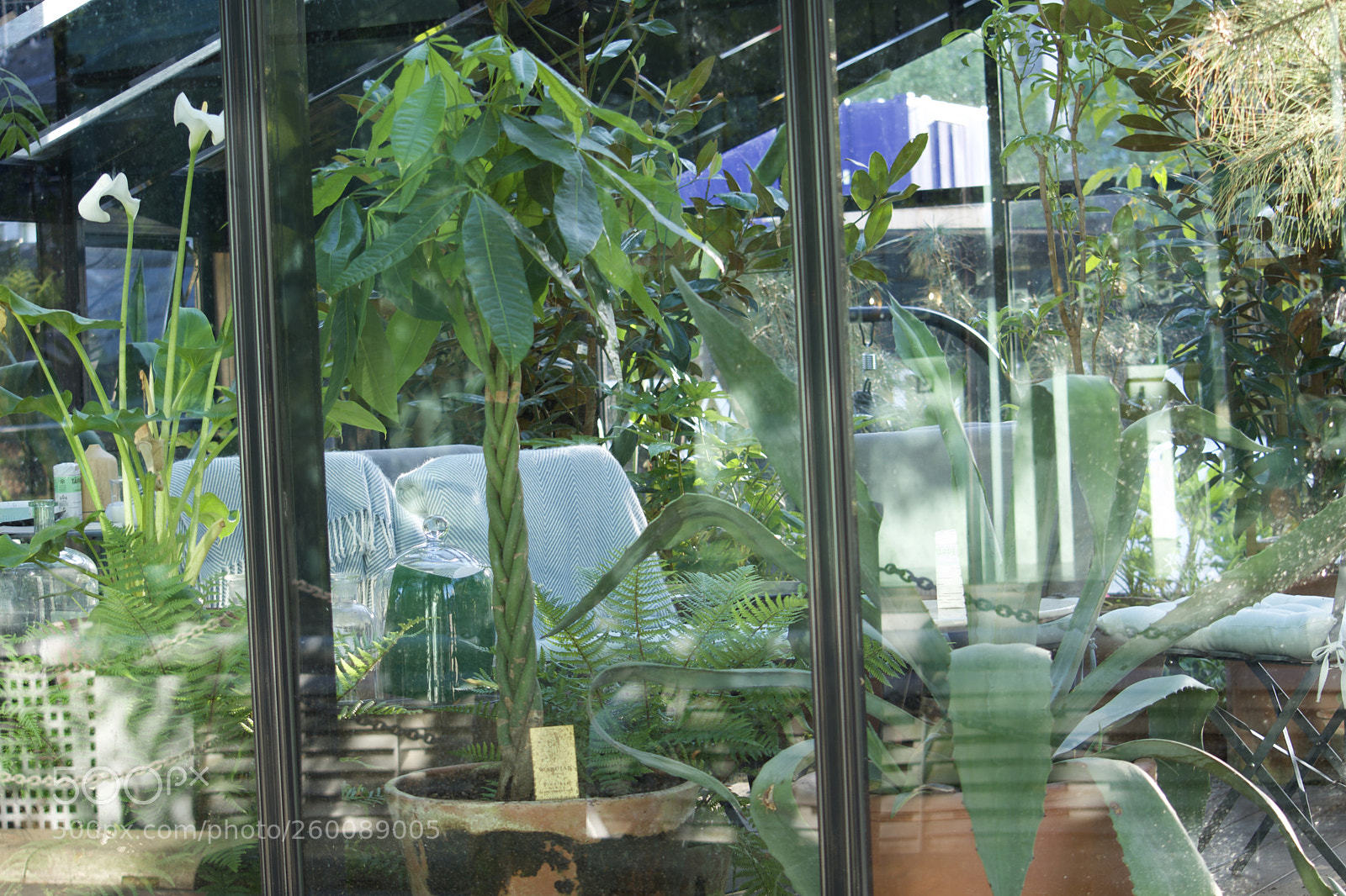 Nikon D7200 sample photo. Fullsizeoutput b photography