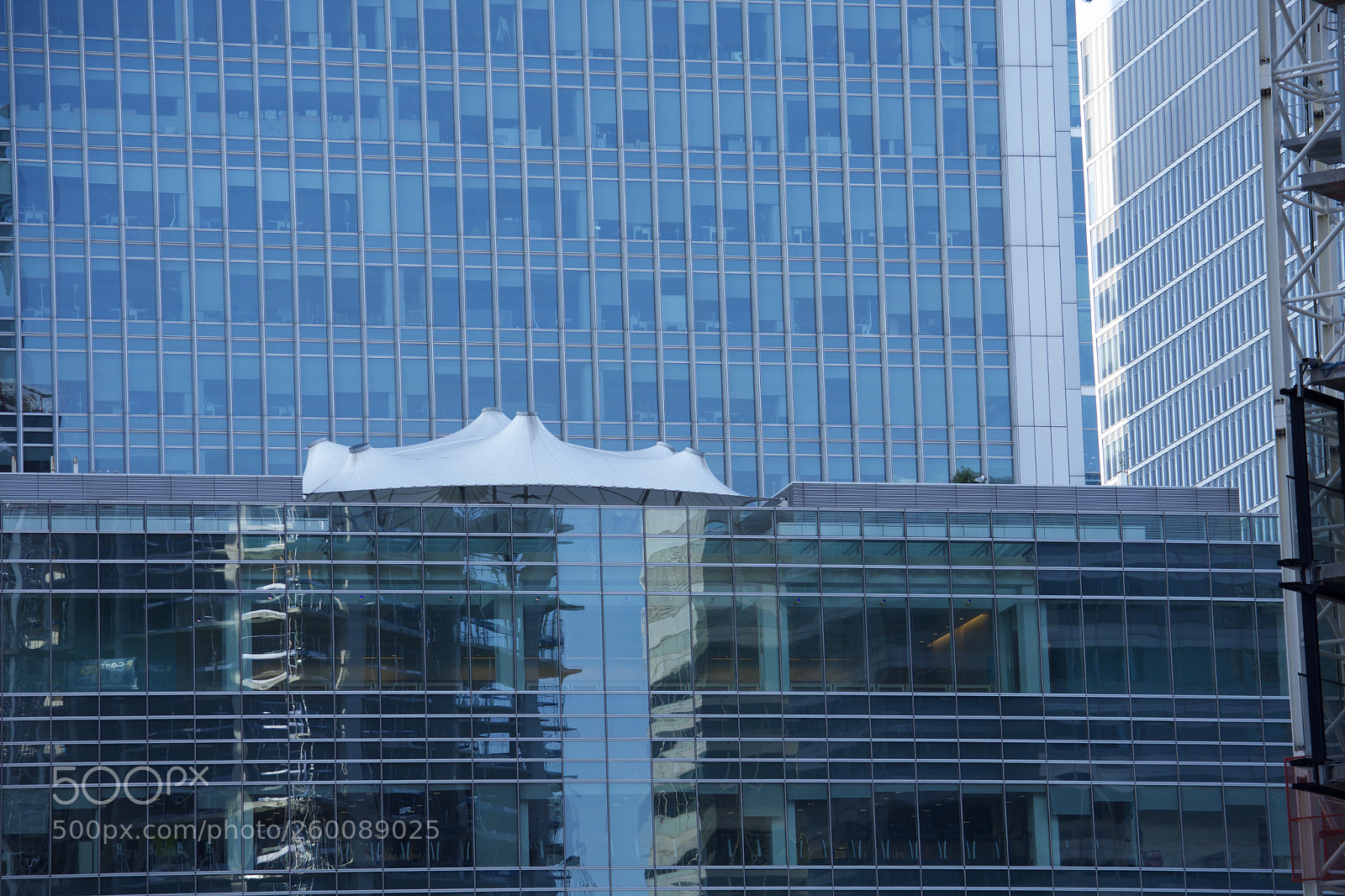 Nikon D7200 sample photo. Fullsizeoutput af photography