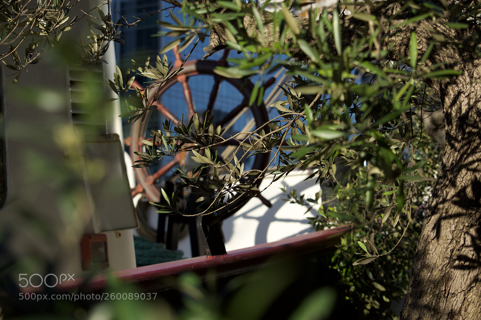 Nikon D7200 sample photo. Fullsizeoutput be photography
