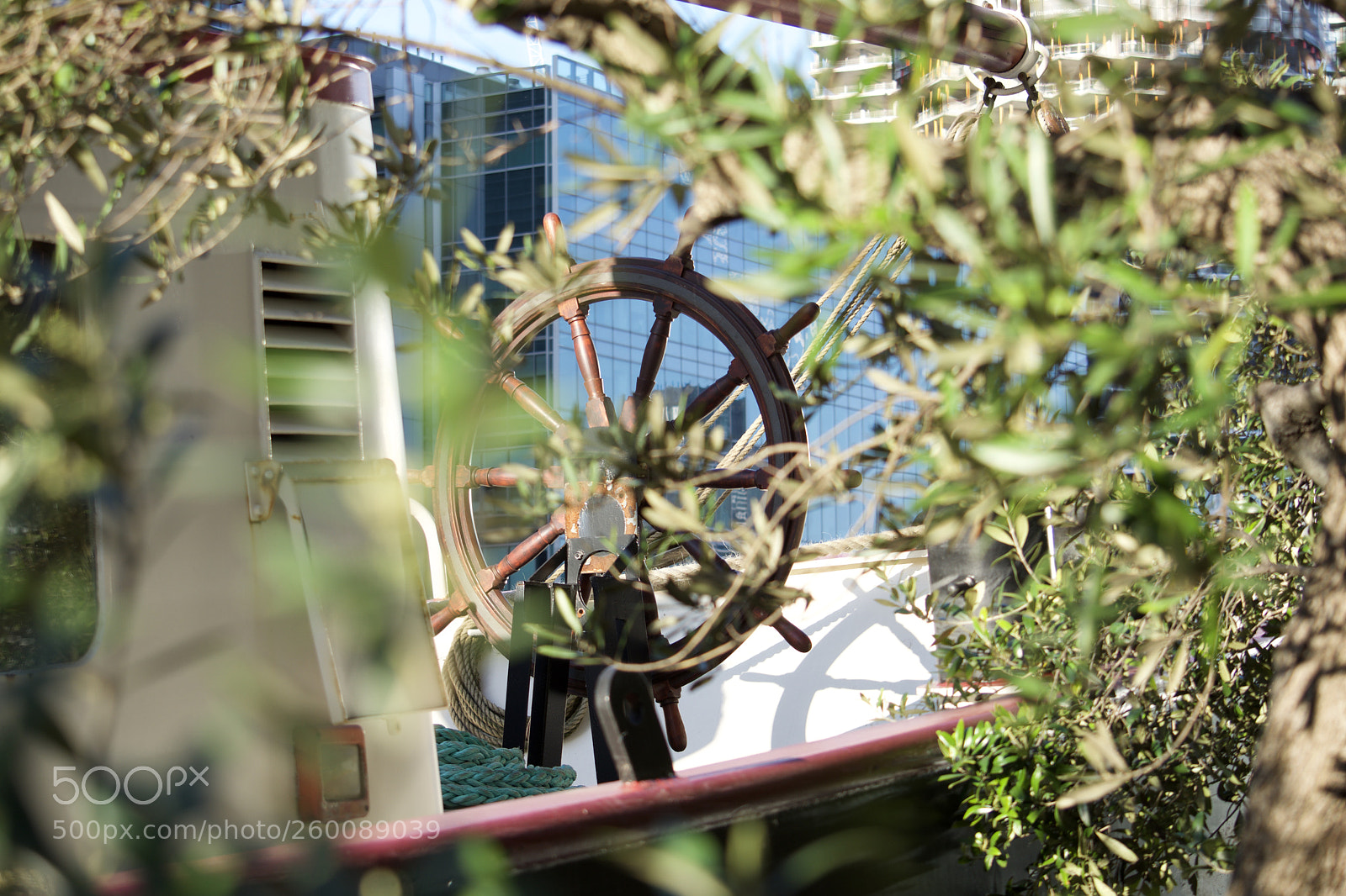 Nikon D7200 sample photo. Fullsizeoutput abb photography