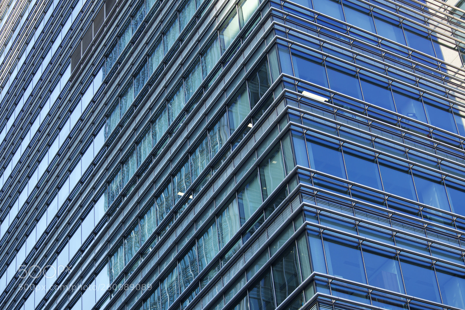 Nikon D7200 sample photo. Fullsizeoutput bcc photography