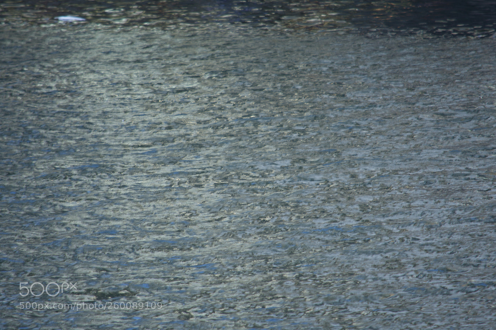 Nikon D7200 sample photo. Fullsizeoutput ac photography