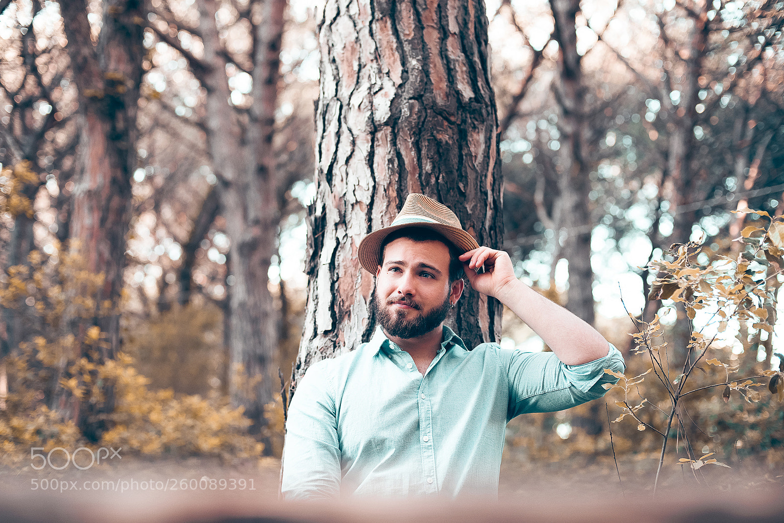 Canon EOS 5D Mark IV sample photo. Italian woods photography