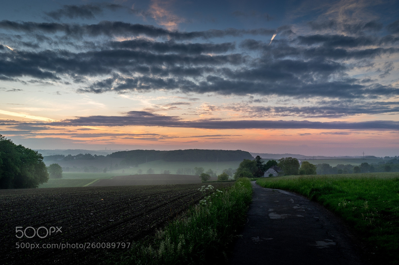 Sony a7 II sample photo. Frankholzhäuschen walk photography