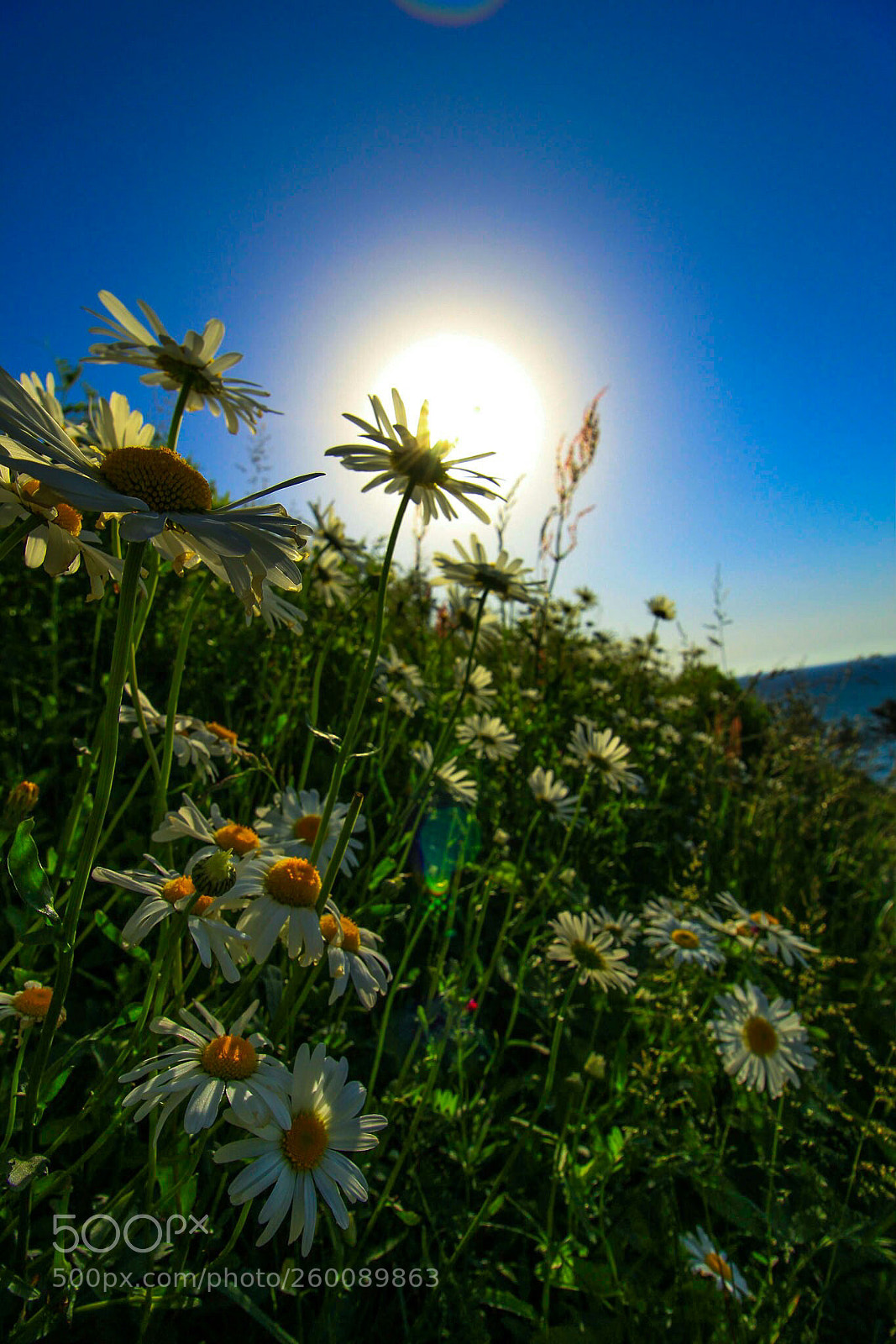 Canon EOS 60D sample photo. Untitled photography