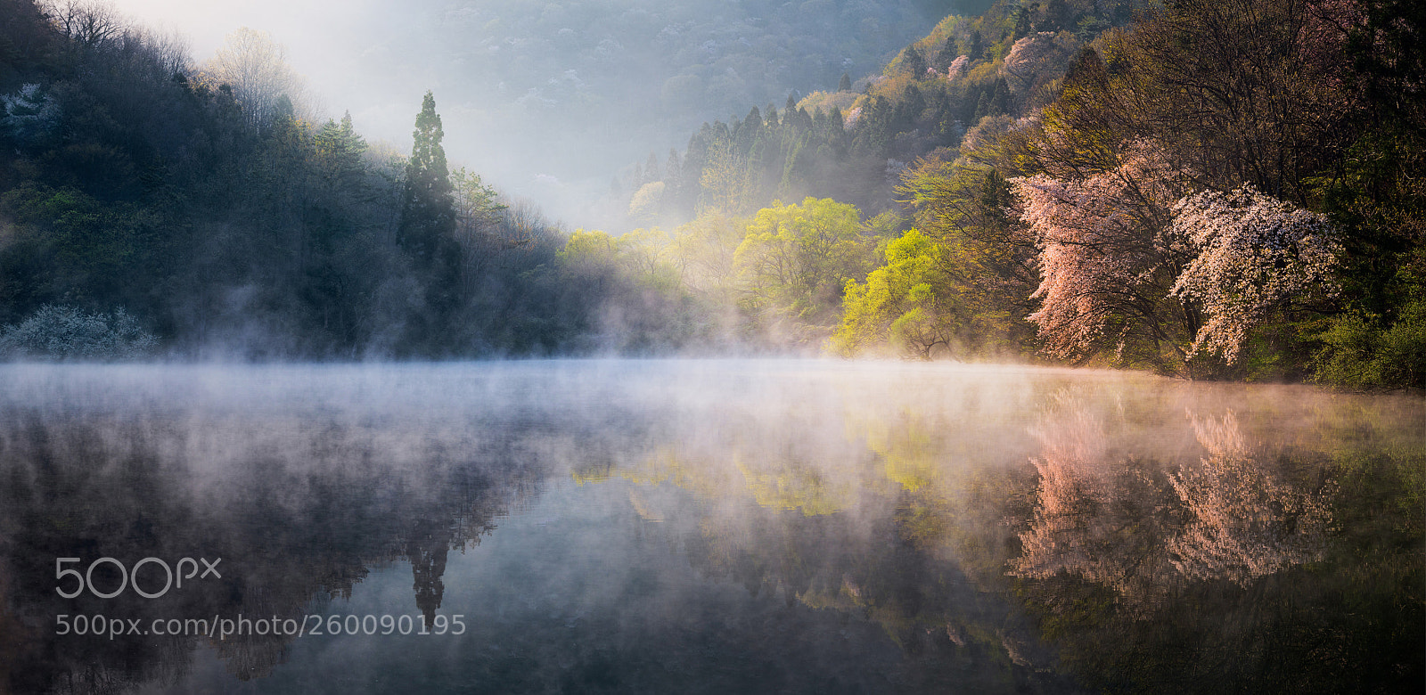 Canon EOS 5D Mark IV sample photo. Fog overload photography