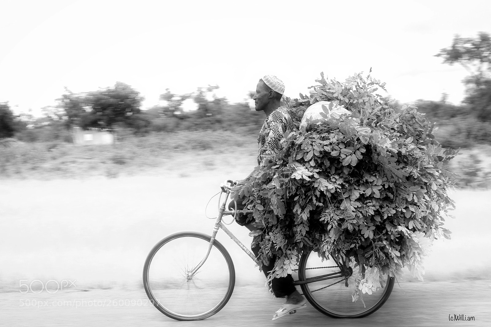 Canon EOS 80D sample photo. Harvesting cycle photography