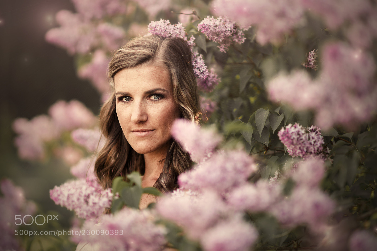 Sony a99 II sample photo. *lilac* photography