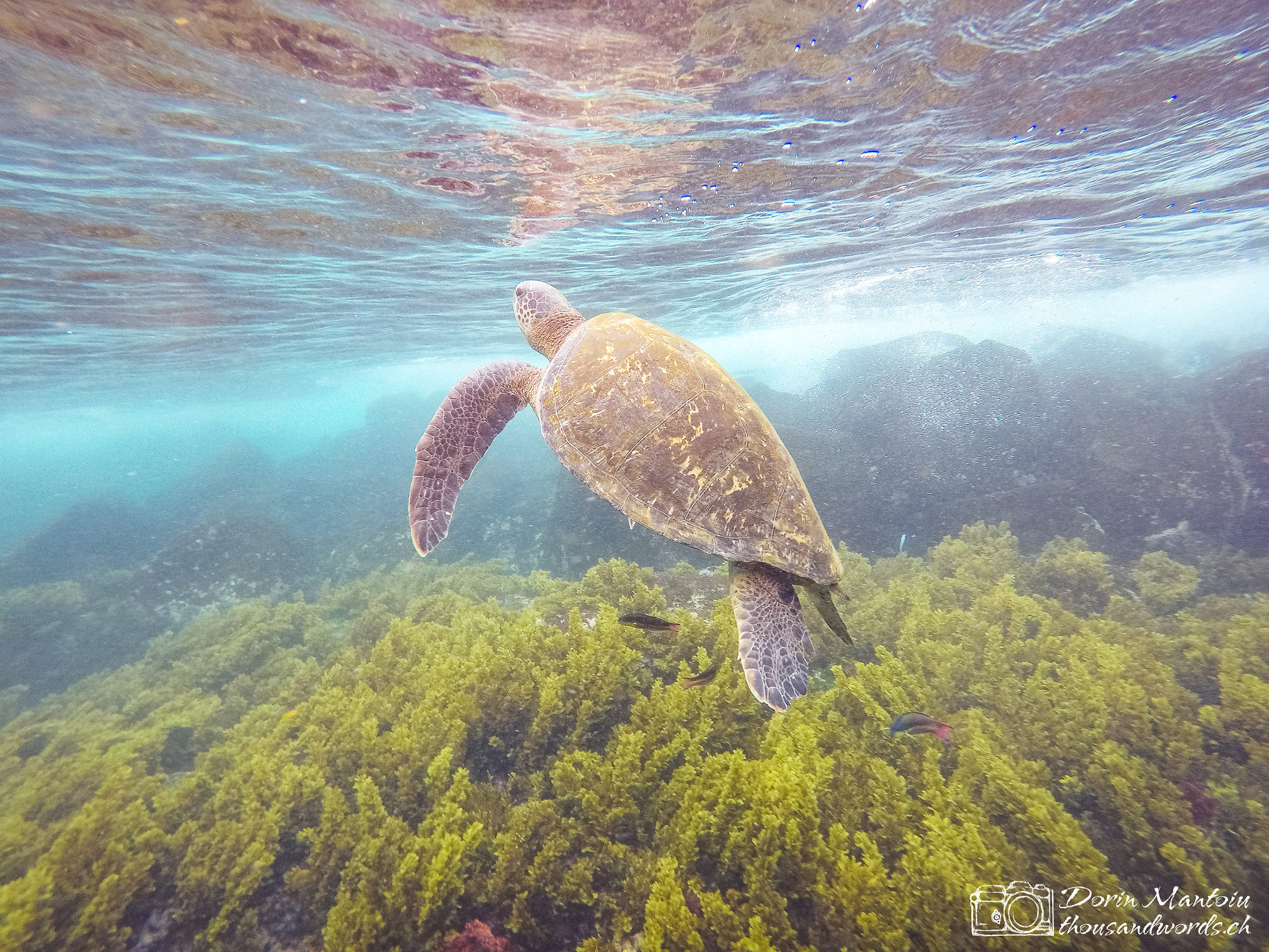 GoPro Hero5 Black sample photo. Isla floreana photography