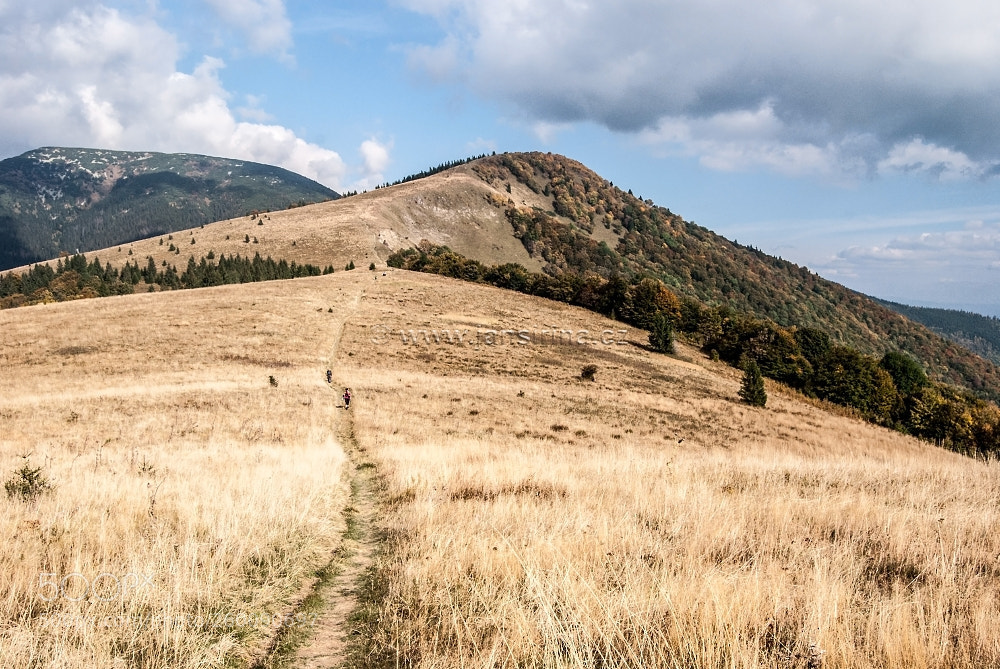 Nikon D60 sample photo. Mountain meadow, kozi chrbat photography