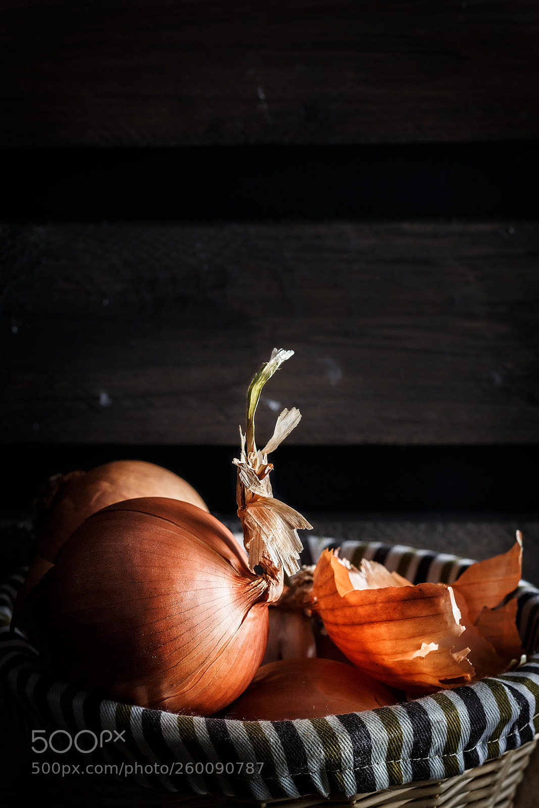 Canon EOS 700D (EOS Rebel T5i / EOS Kiss X7i) sample photo. Still life of onion photography