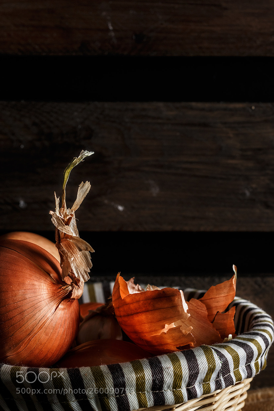 Canon EOS 700D (EOS Rebel T5i / EOS Kiss X7i) sample photo. Still life of onion photography