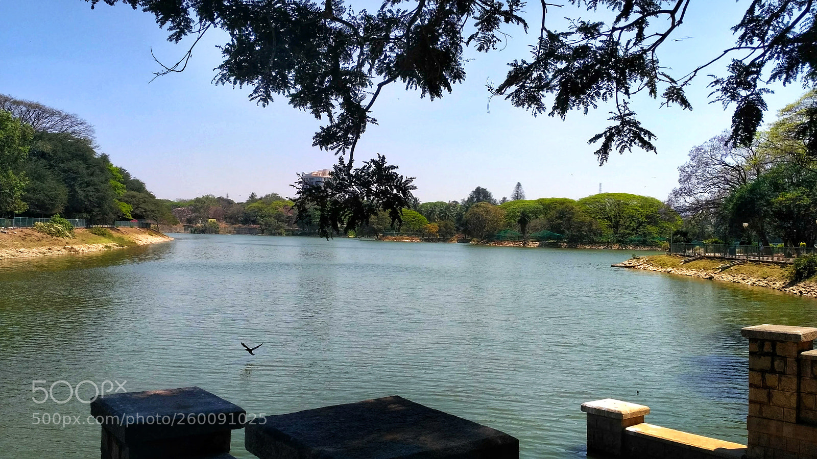 Xiaomi Redmi 3S sample photo. Lake shed photography