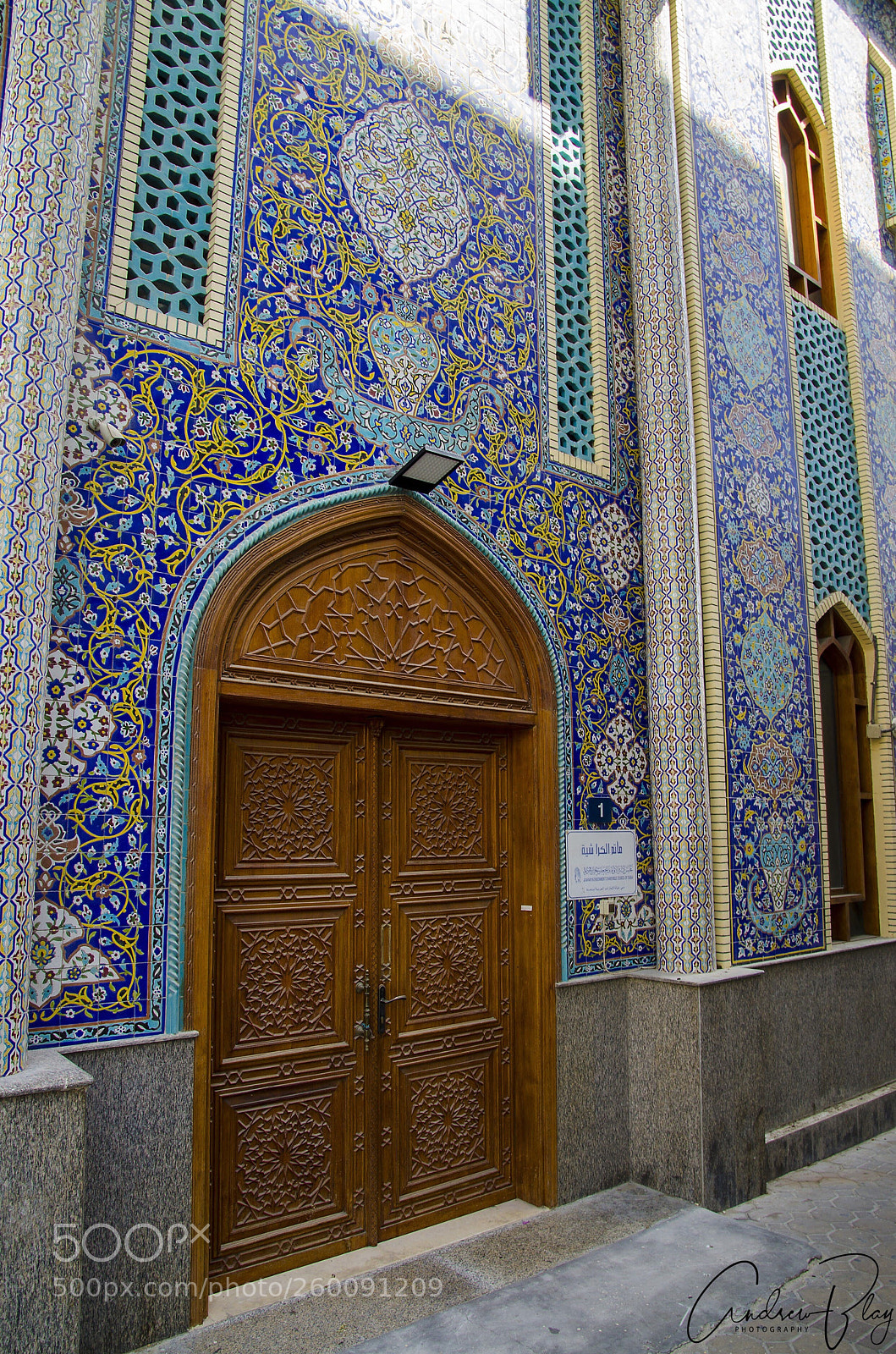 Nikon D7000 sample photo. Grand entrance photography