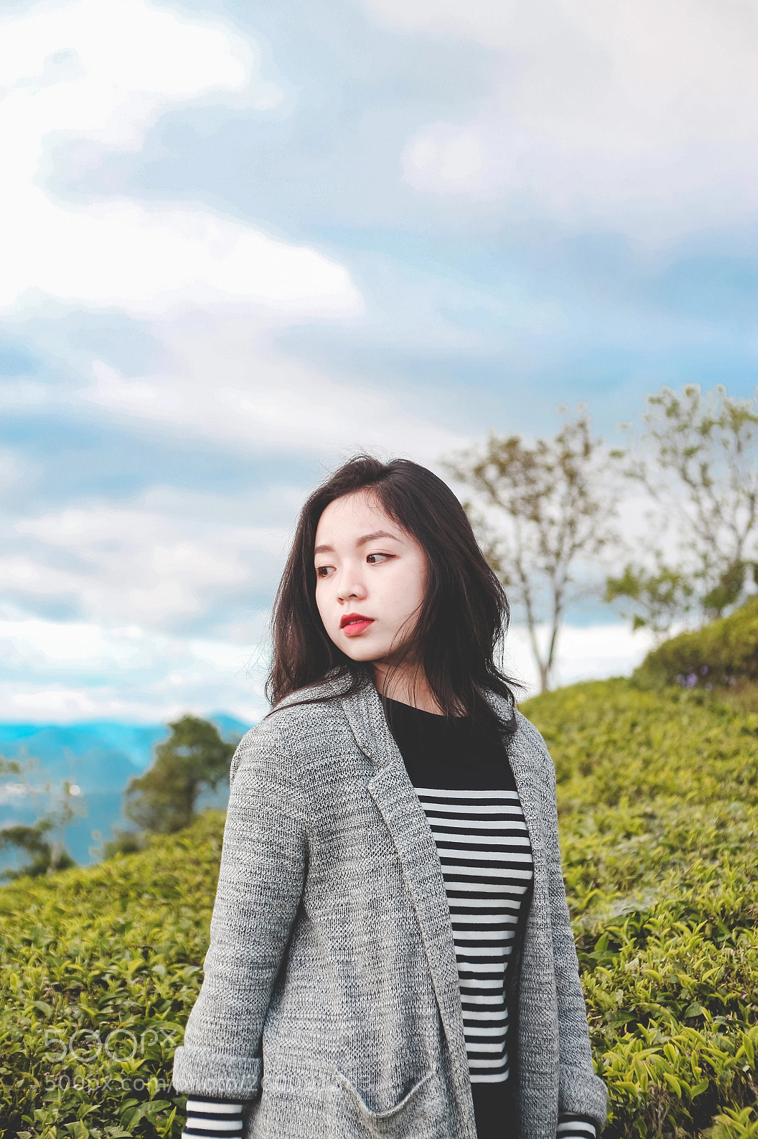Canon EOS 700D (EOS Rebel T5i / EOS Kiss X7i) sample photo. On the tea hill photography
