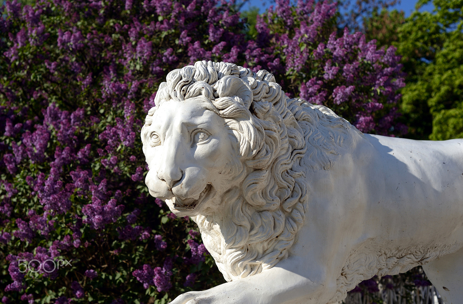 Nikon D610 + Nikon AF Nikkor 50mm F1.8D sample photo. Sculpture of the lion. photography