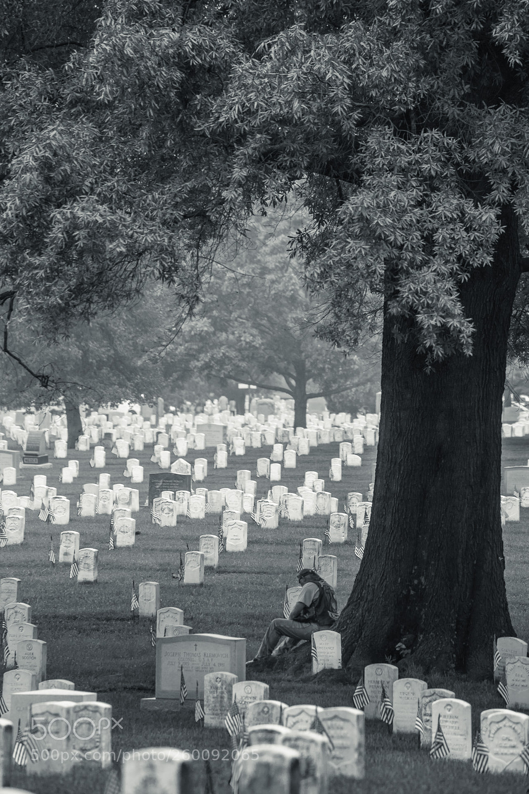 Canon EOS 6D sample photo. The hollowed ground photography