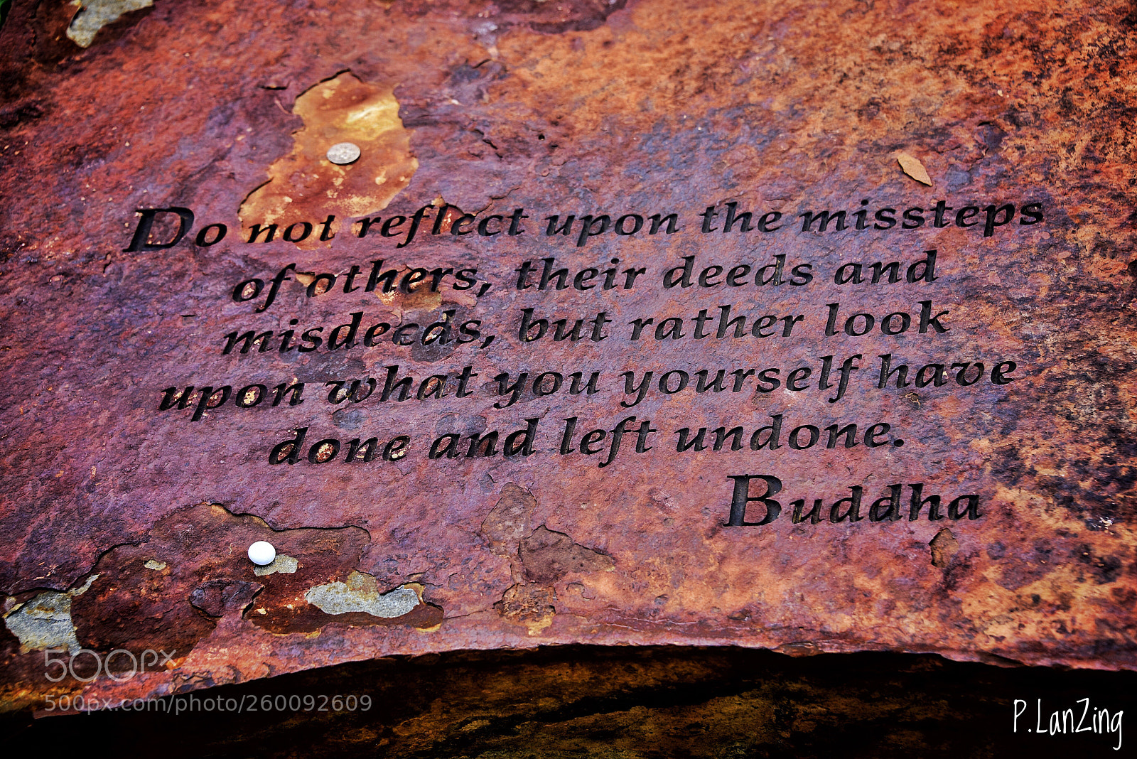 Nikon D810 sample photo. Garden stone photography
