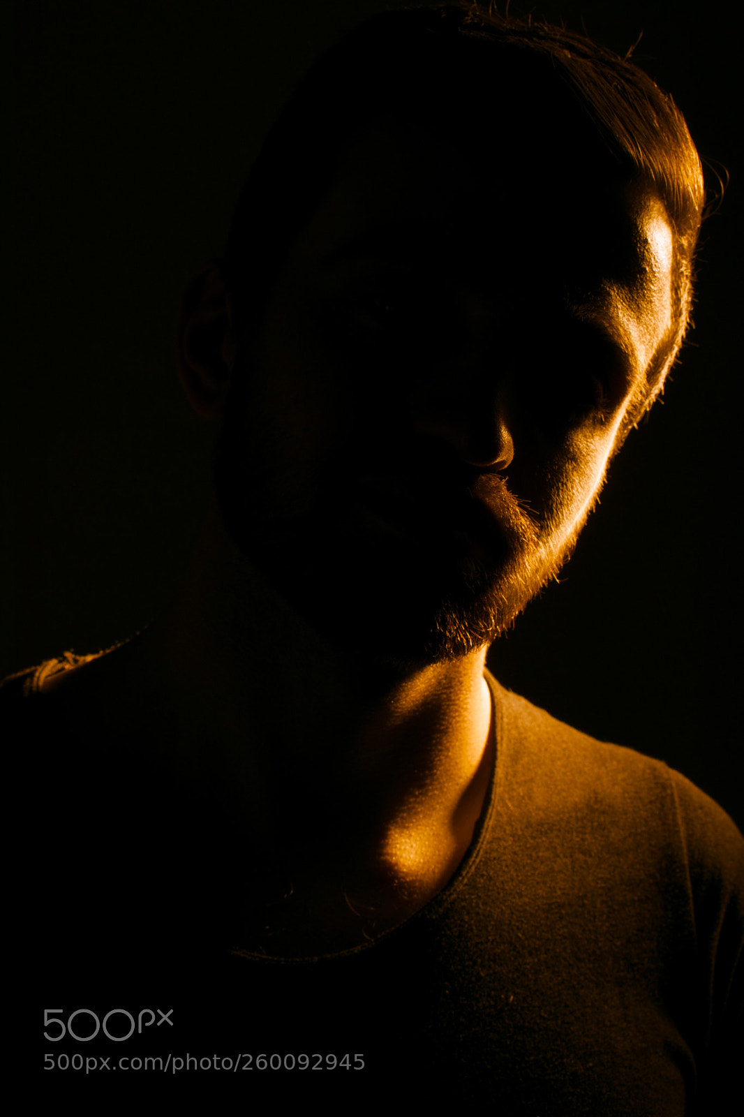 Nikon D3300 sample photo. Darker vision photography