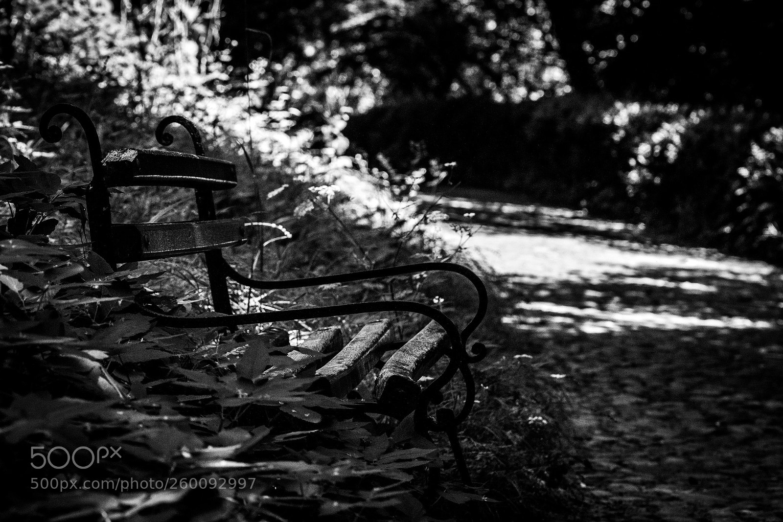 Canon EOS 7D sample photo. Old bench photography